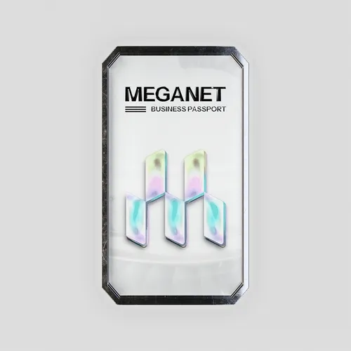 Business Passport Meganet