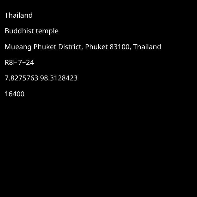 Fan of The Big Buddha