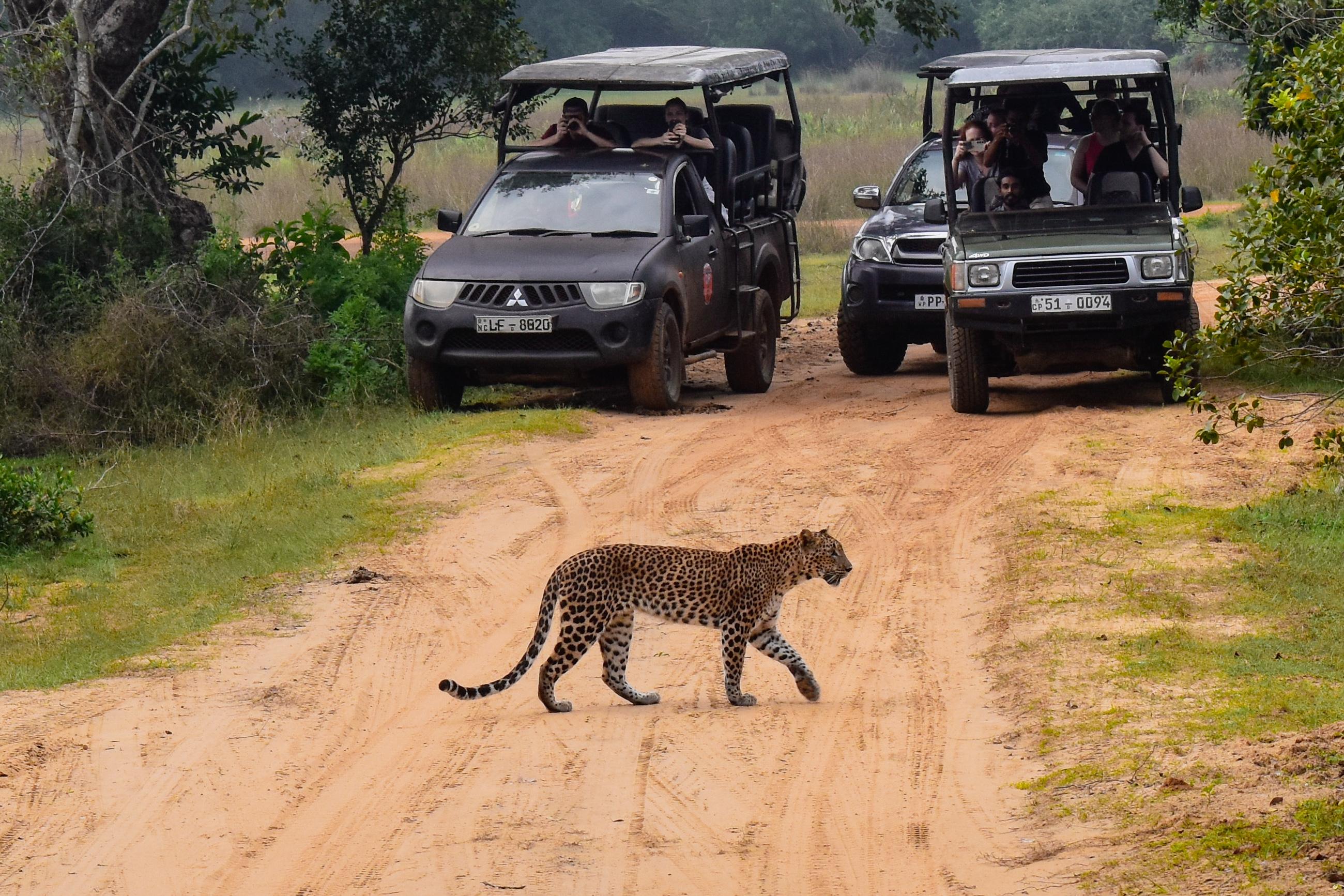 Spotting Spots #25