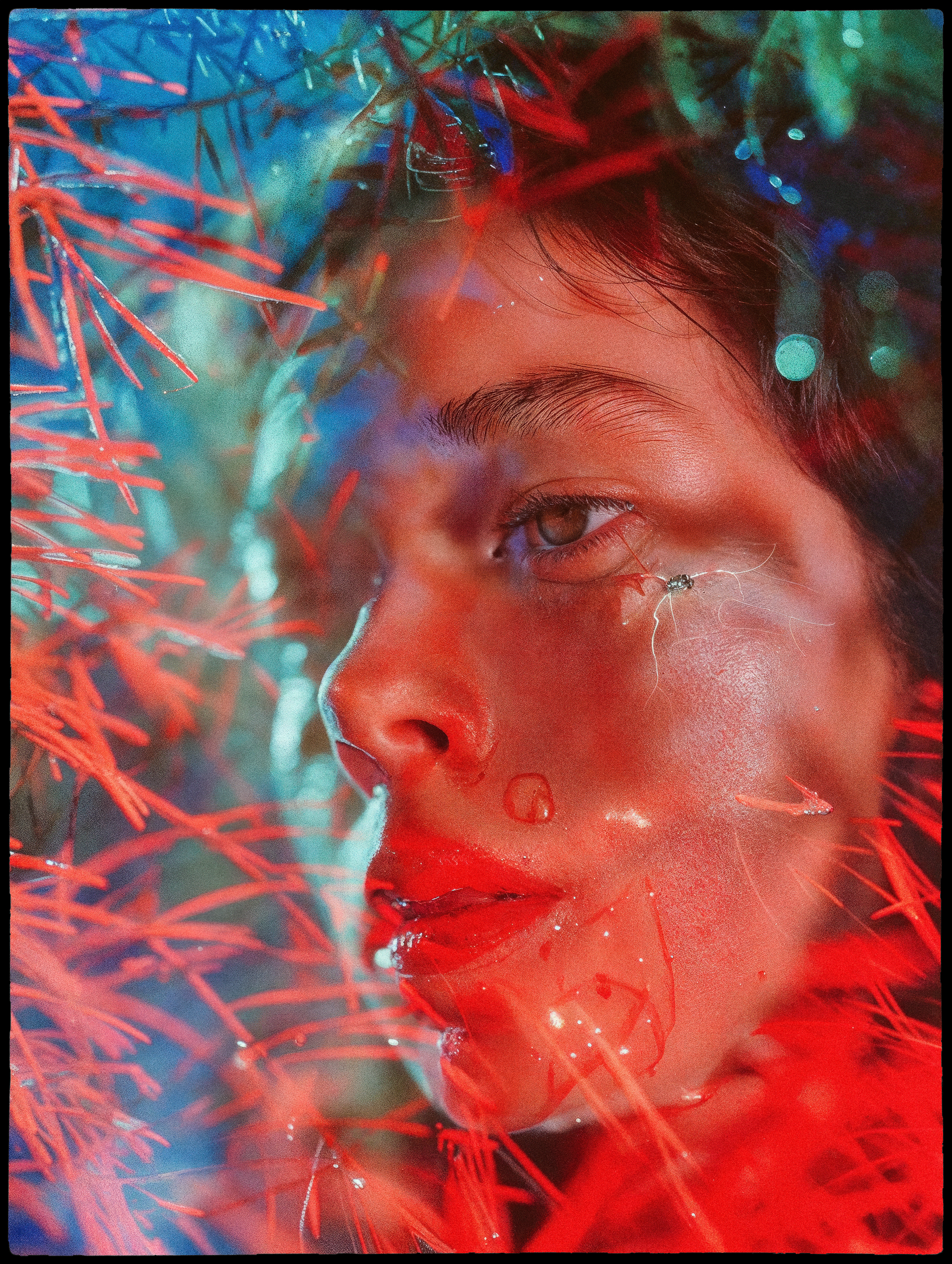 the MIMIKRY game #79