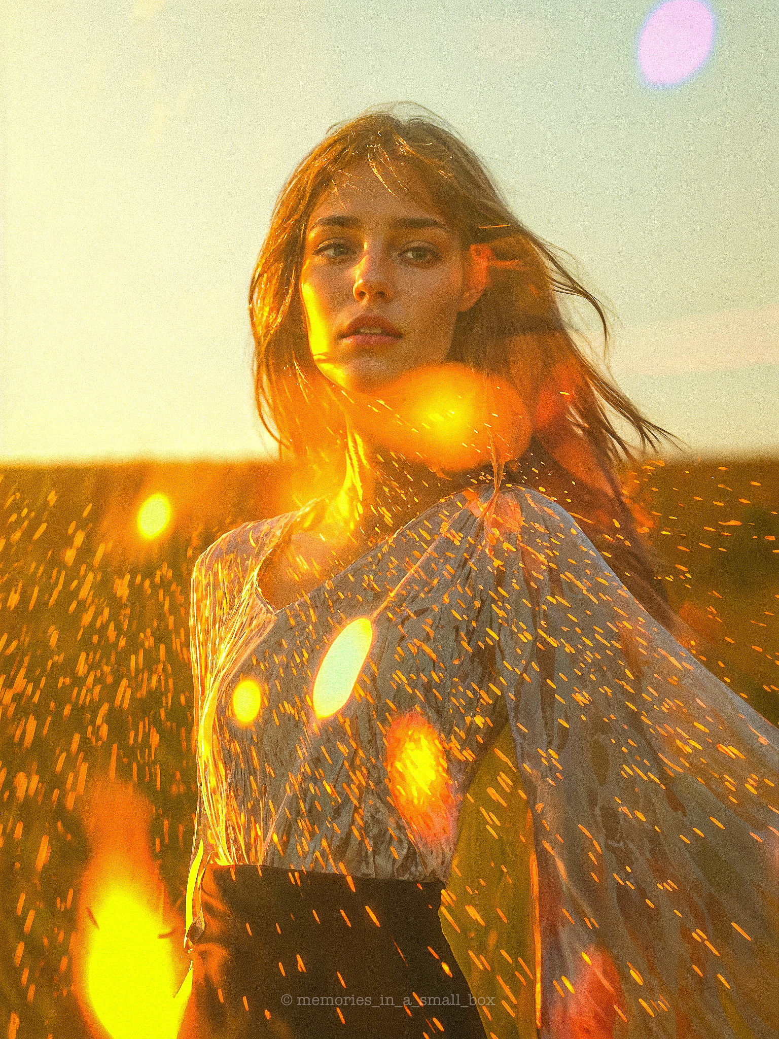 - ѕυηƒℓαιя - #11