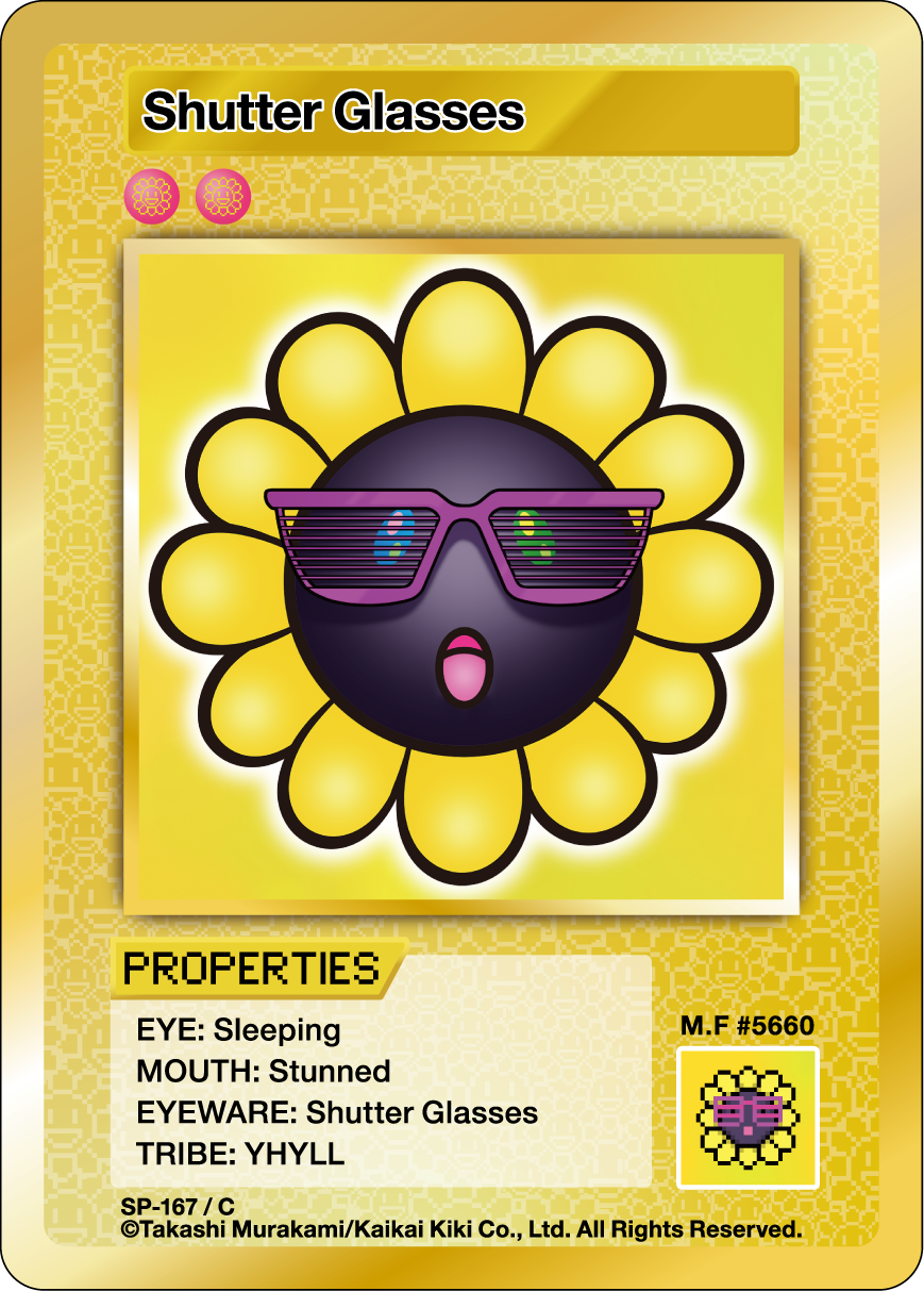 Shutter Glasses SP-167 EN