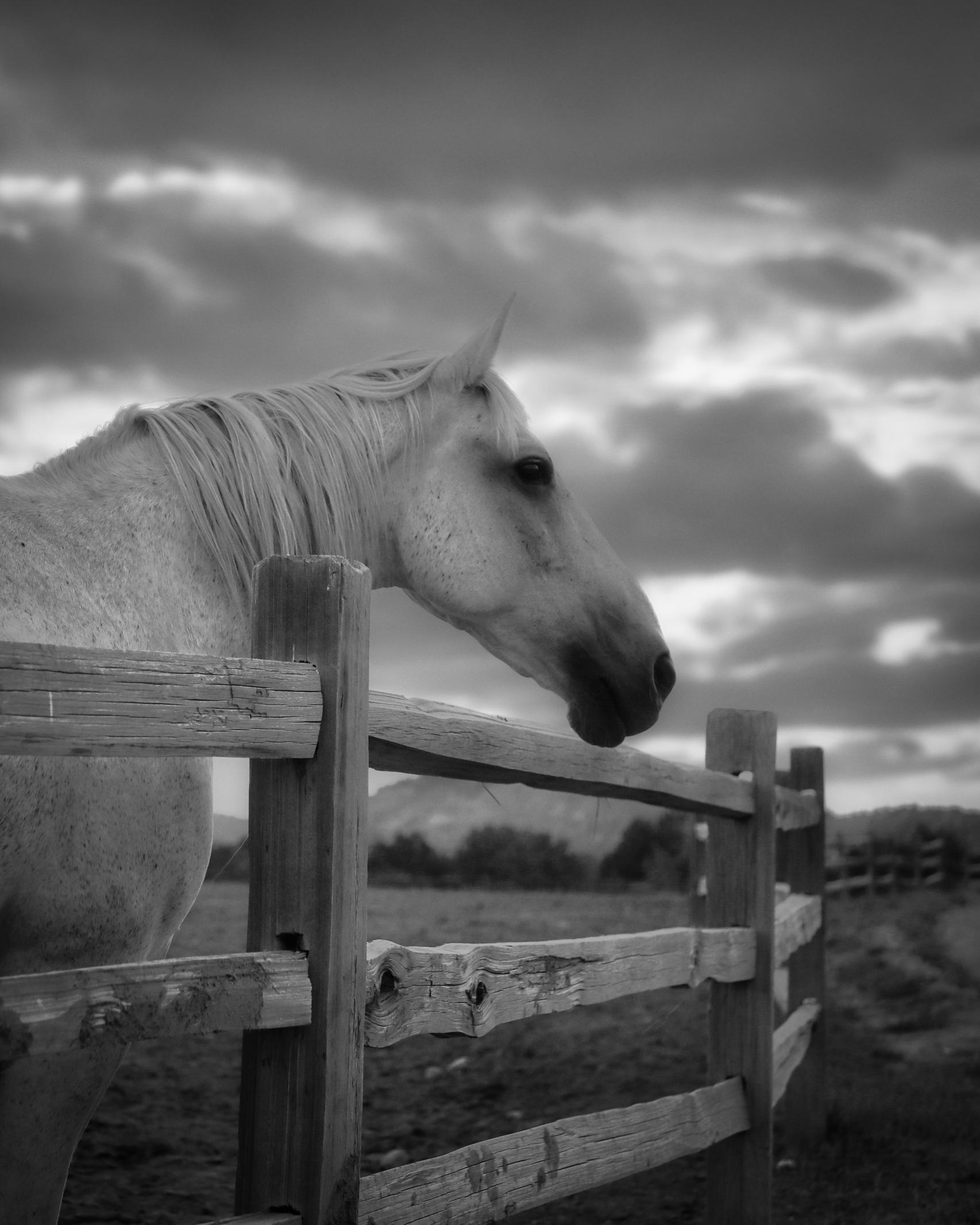 Quiet Moment #18