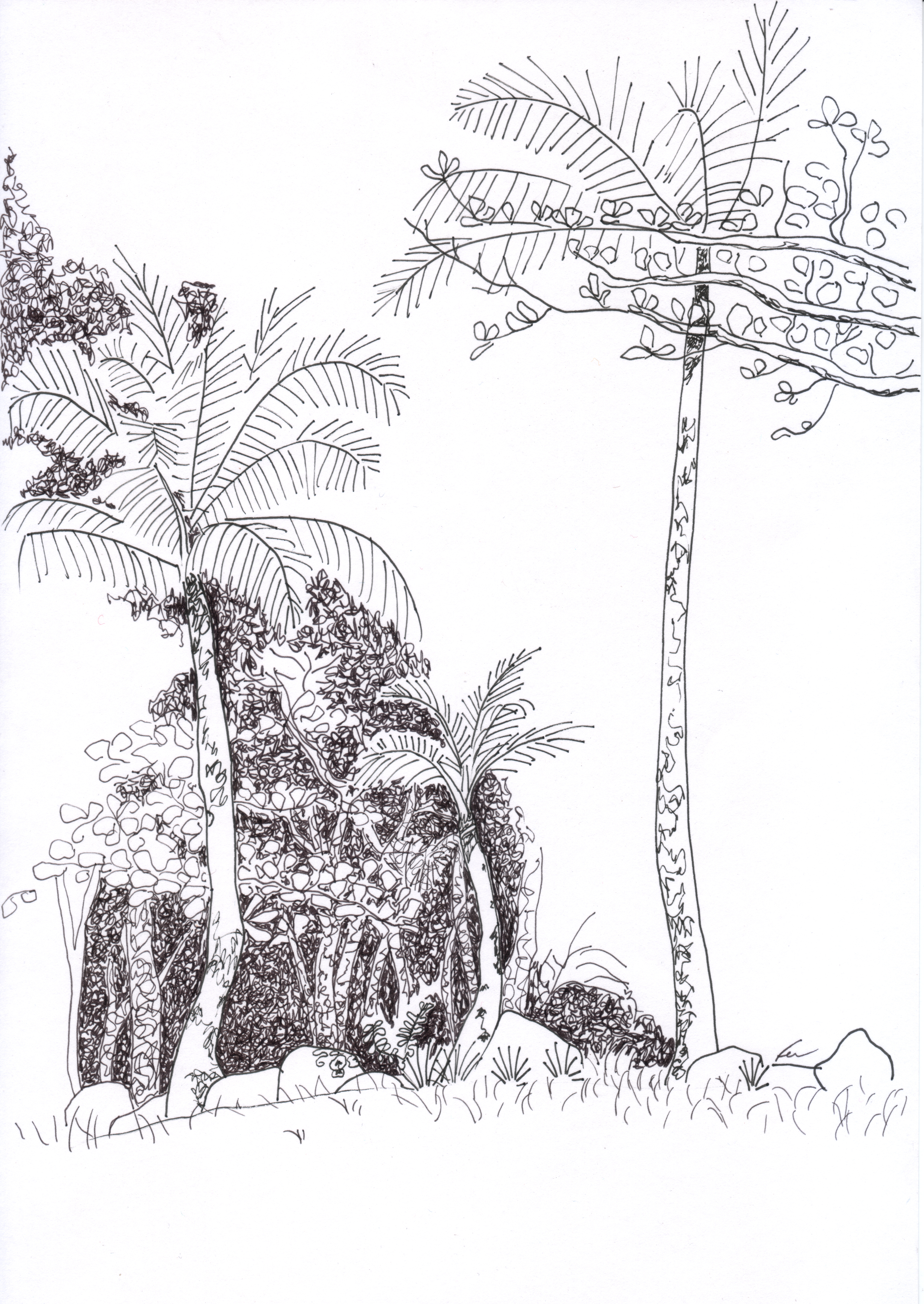 Pauba 2 - 2006 ink on paper #37