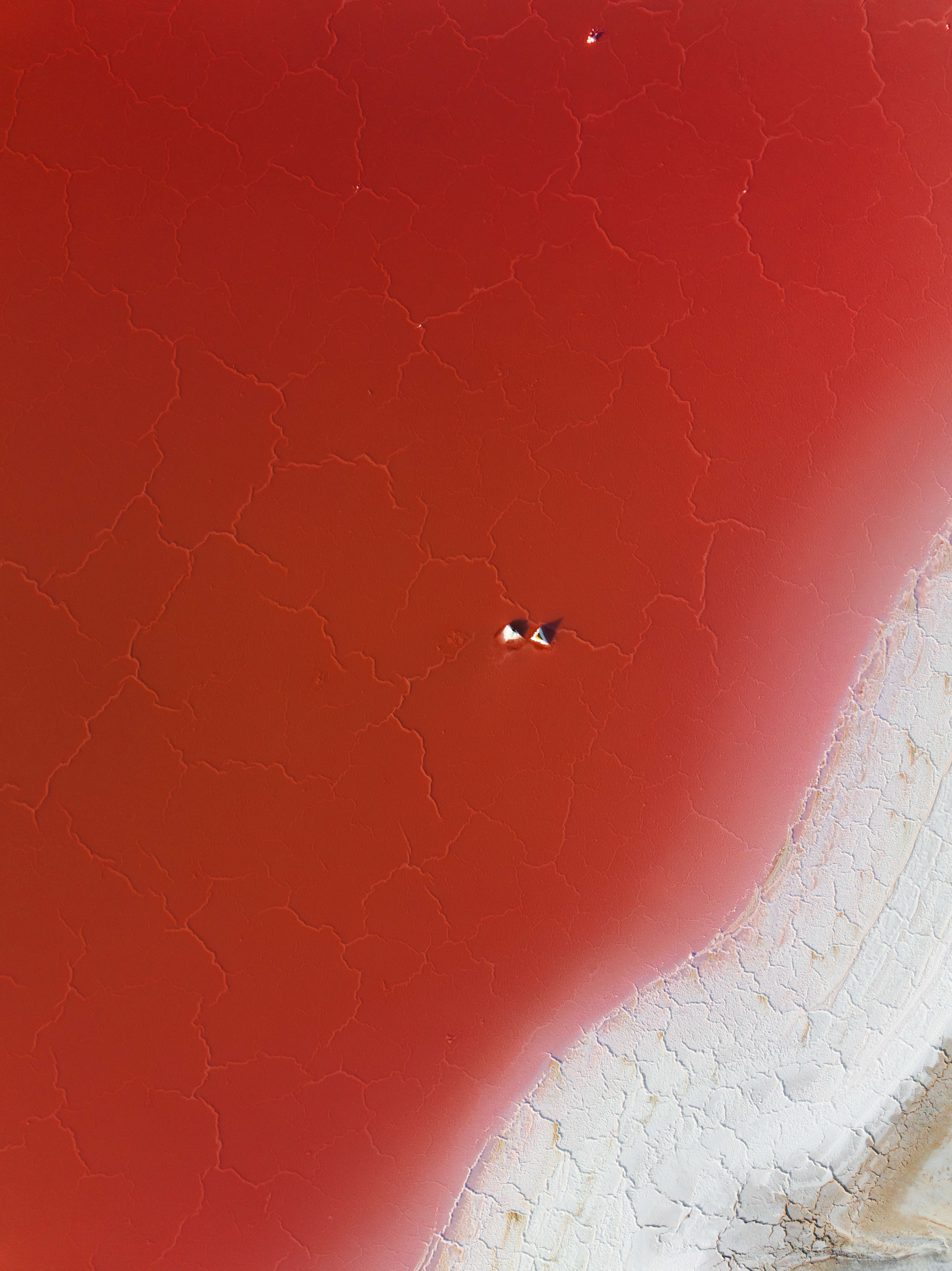 Red Salt