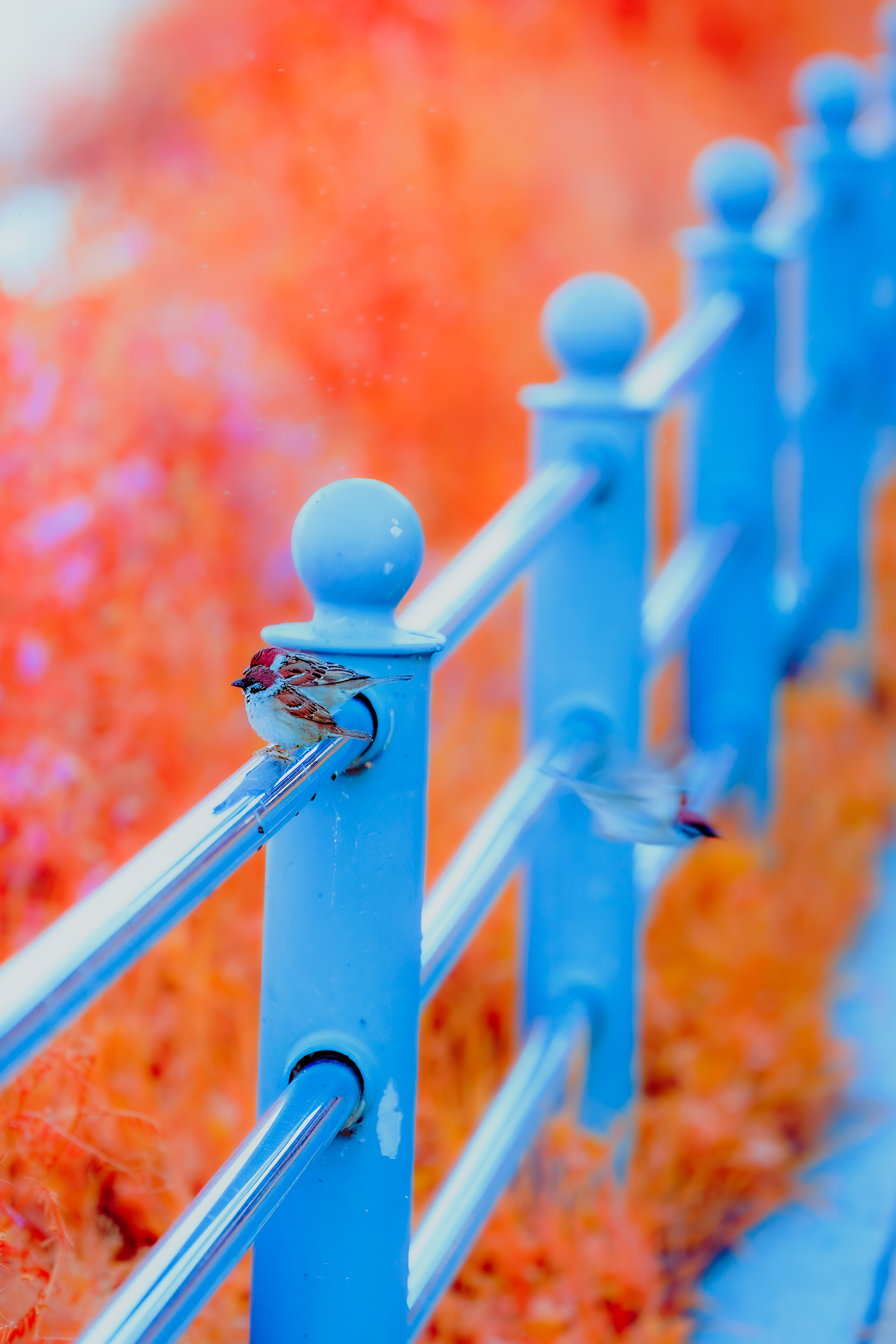 Moment 26 – Takeoff #513
