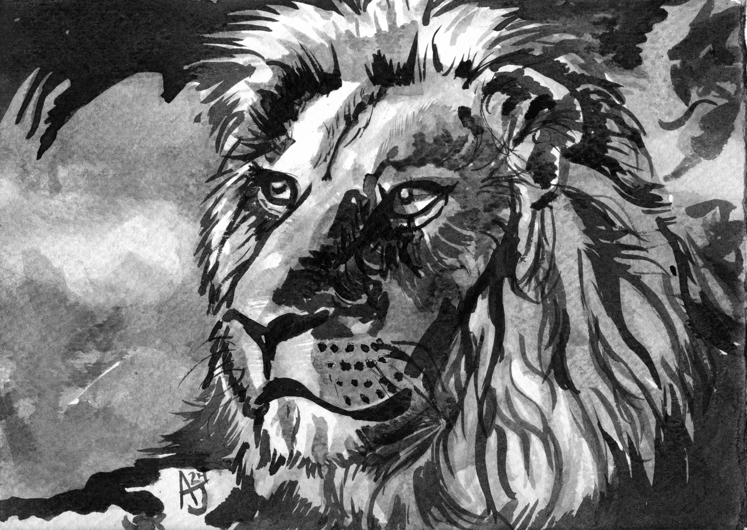 Lion Speed Painting