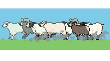 Goat Rodeo