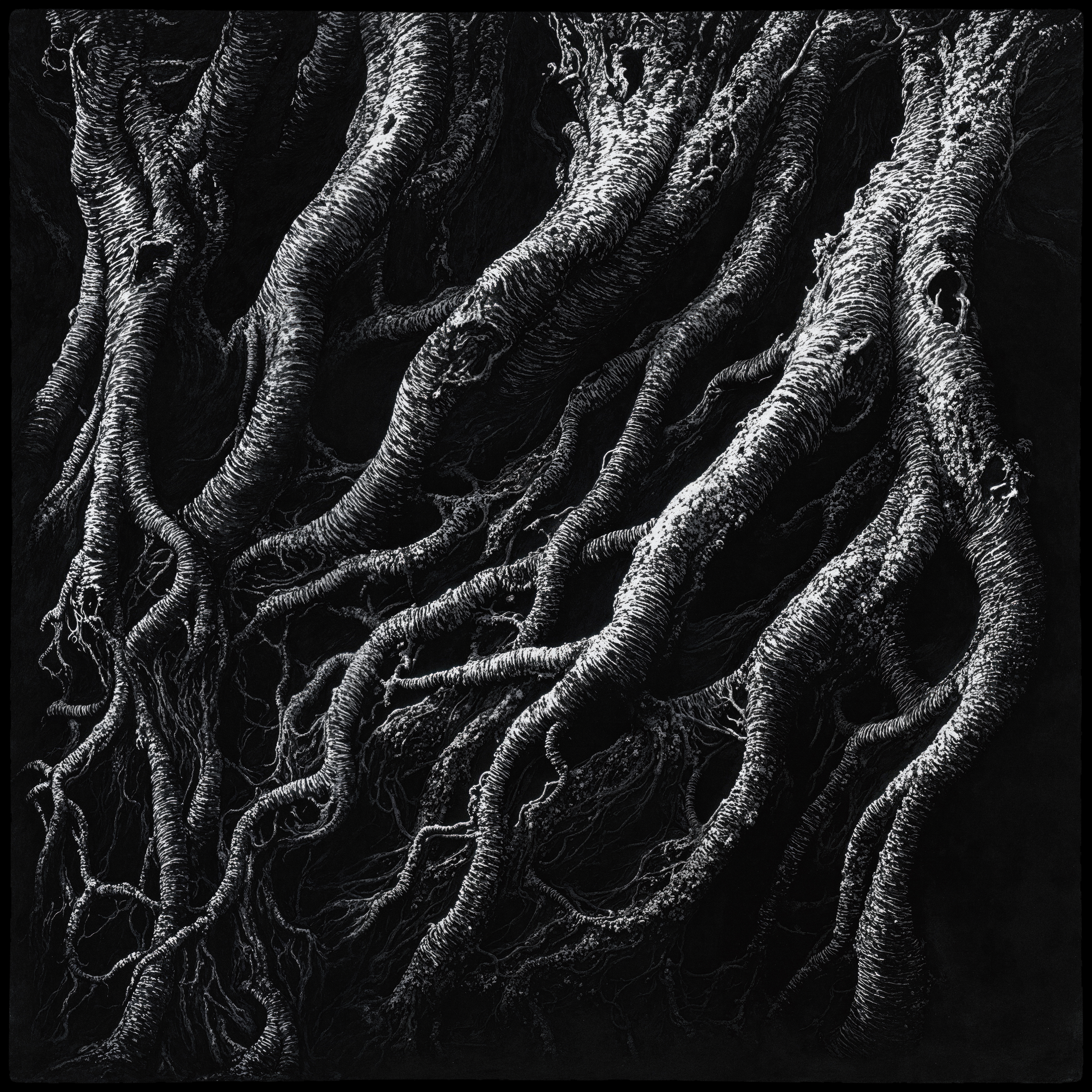 "roots and branches" #44