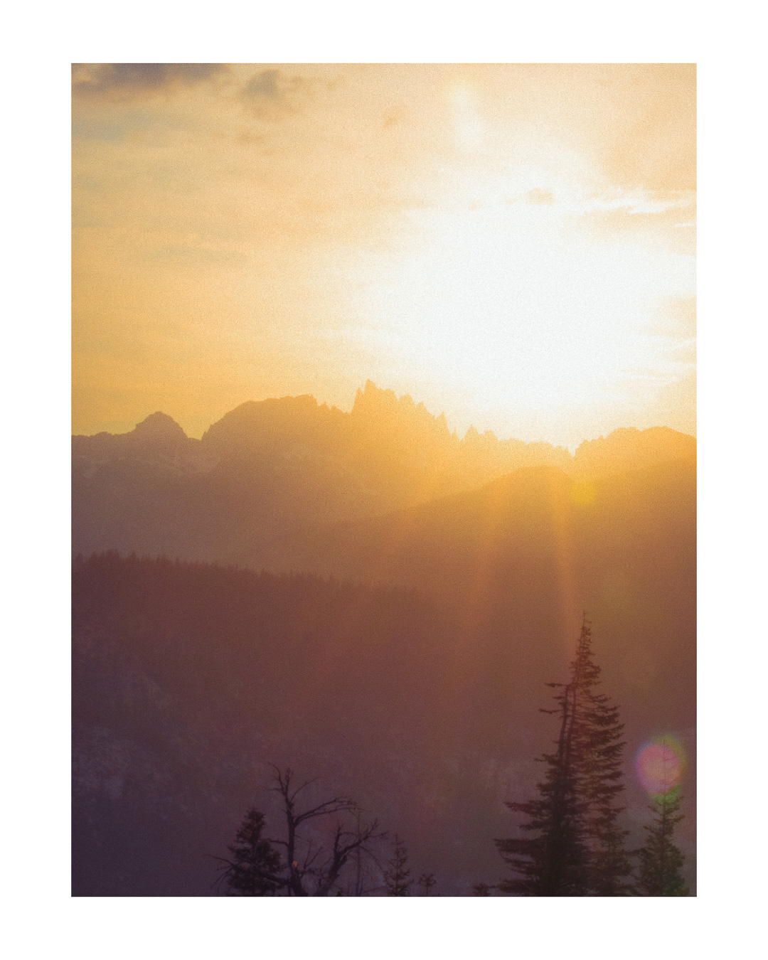 Forgotten Frames — 027