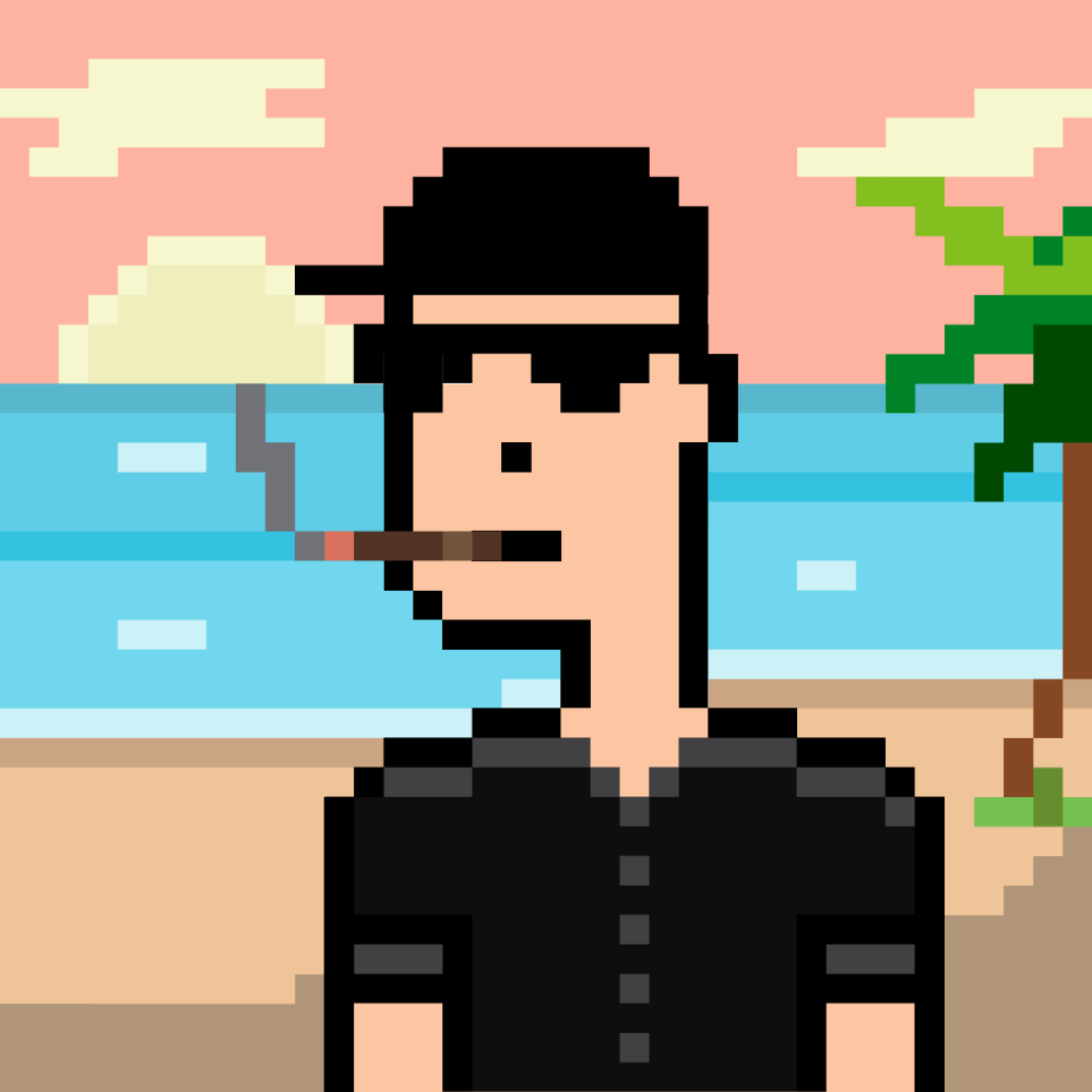 CustomPunks V1 #5533