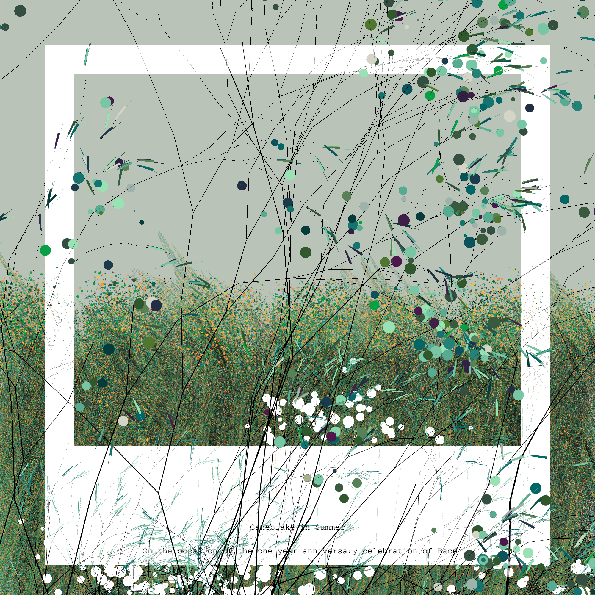 Meadow in the frame #B3