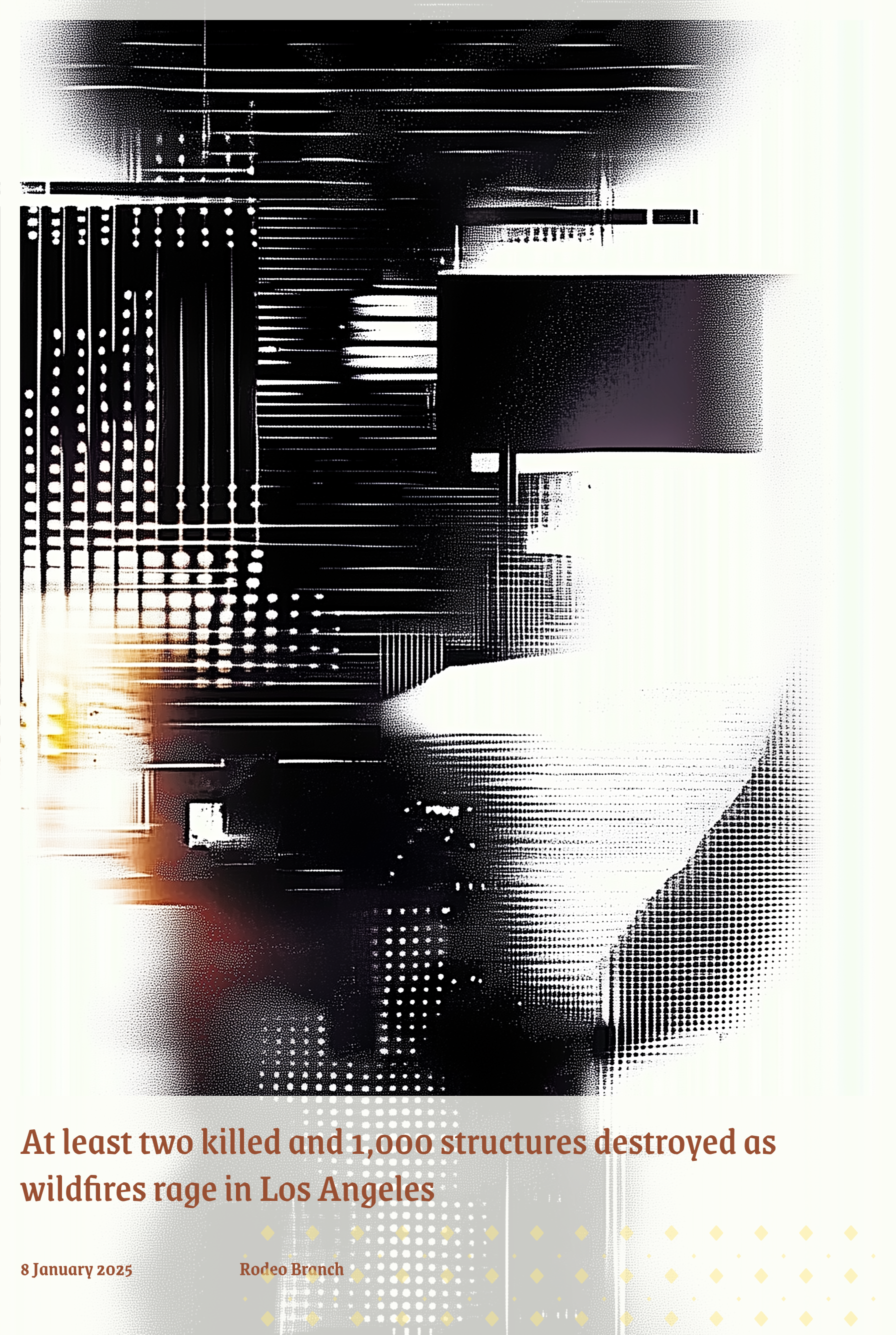 8 January 2025 Rodeo Branch