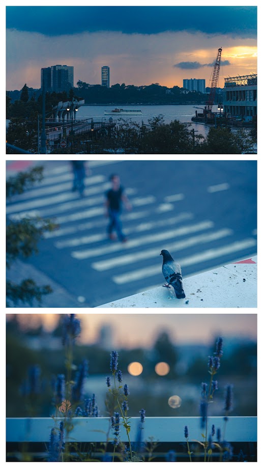 Finding Calm on the High Line