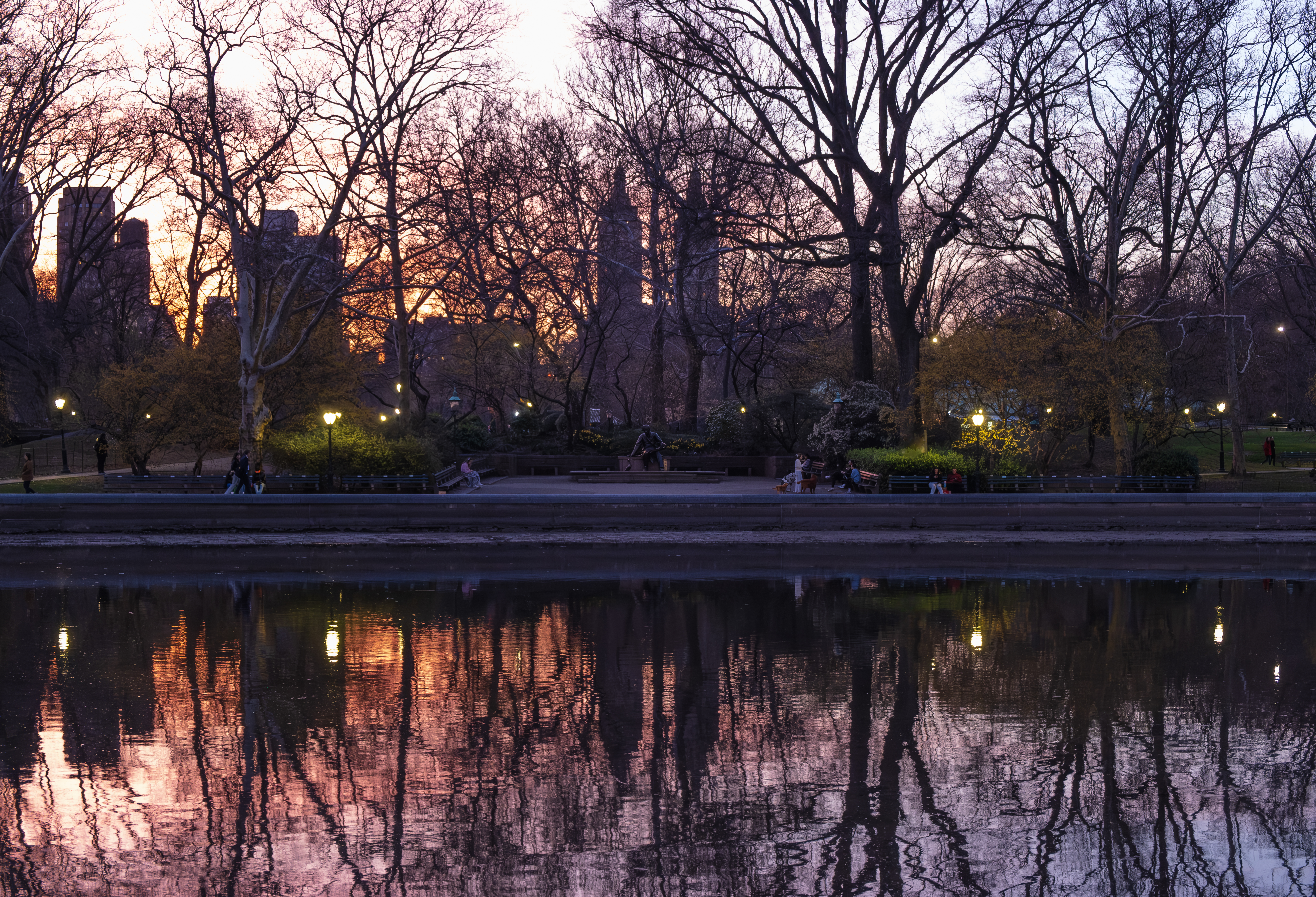 Dusk in Central Park