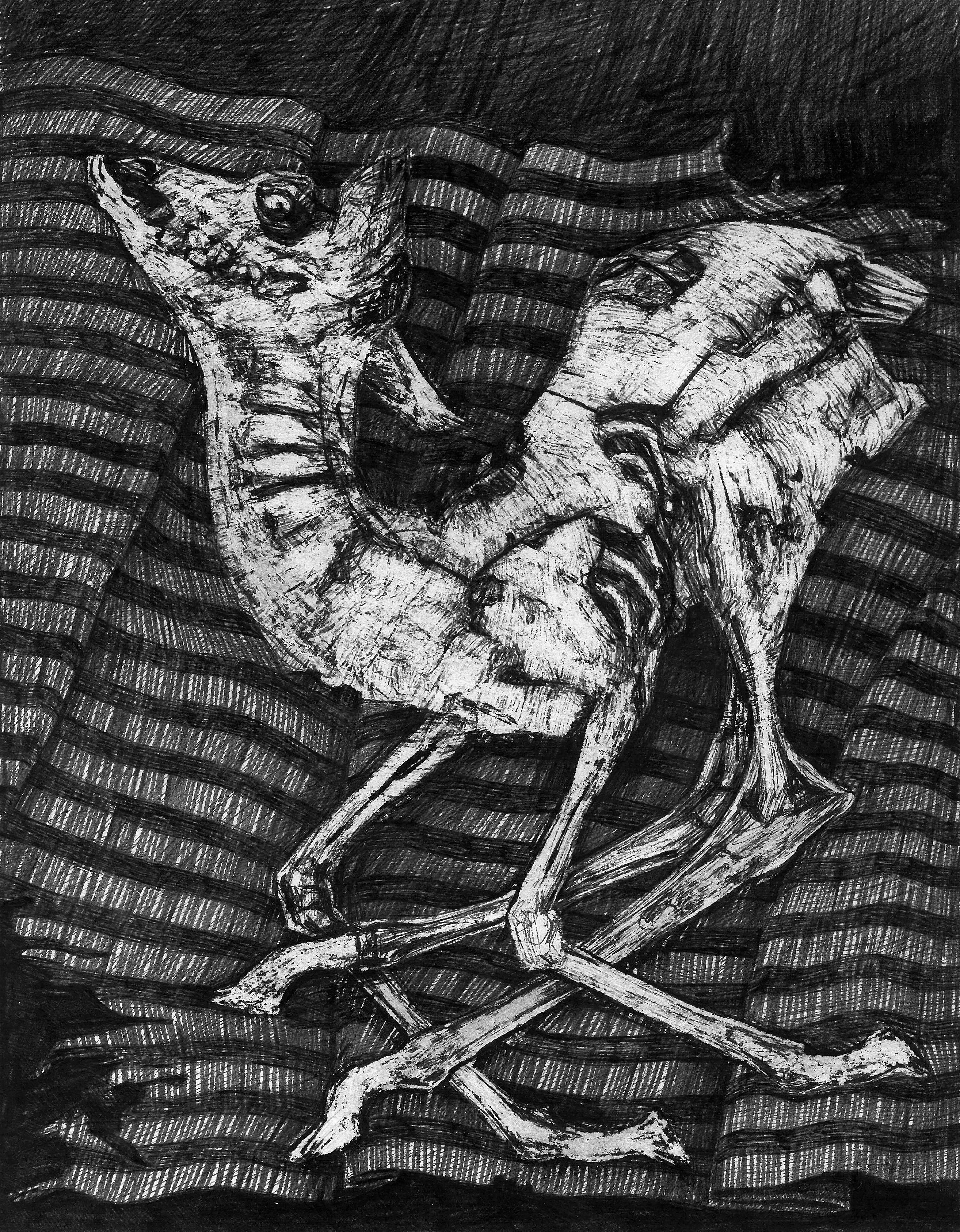 Under the skin of death