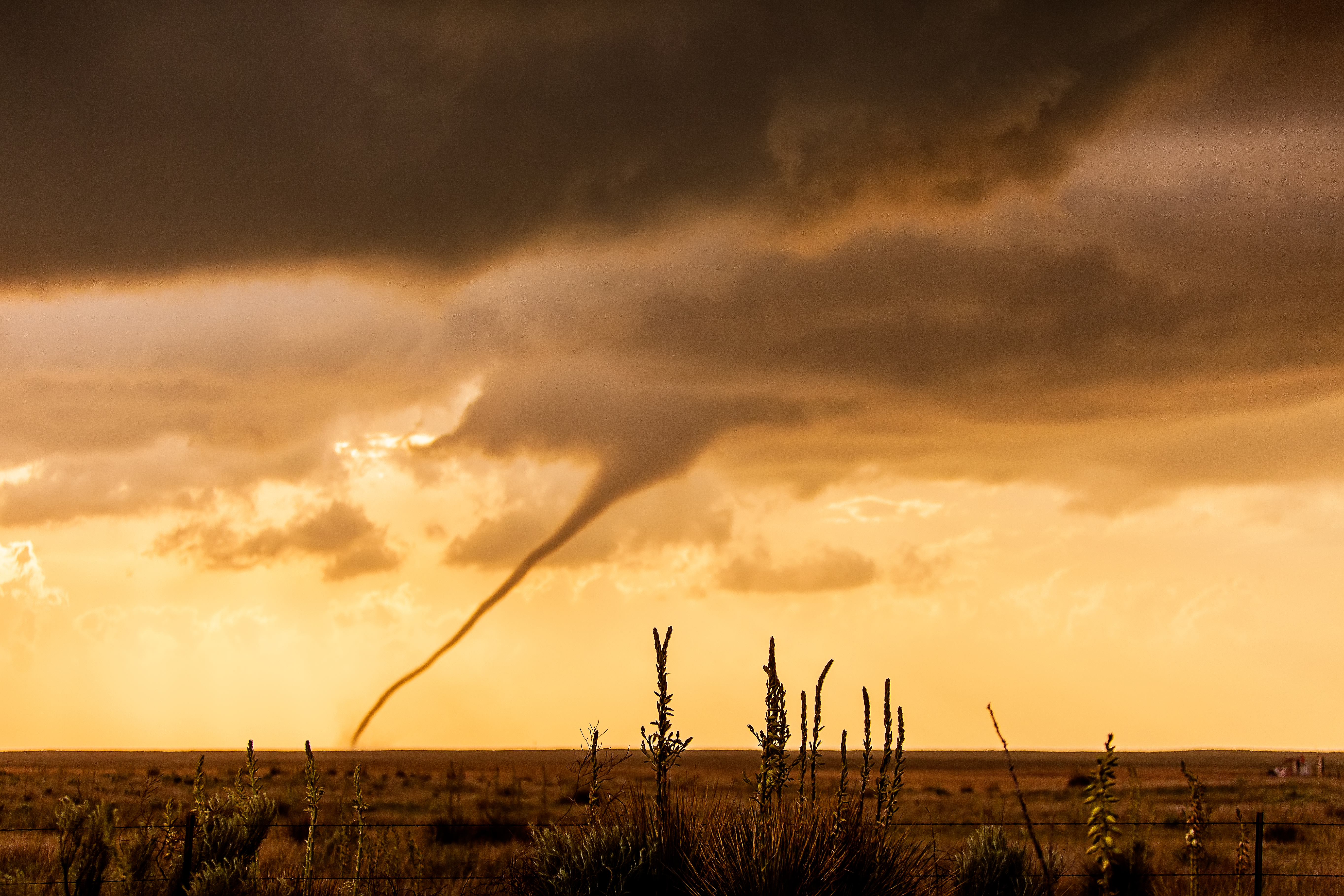 Tornado Rope Out #1