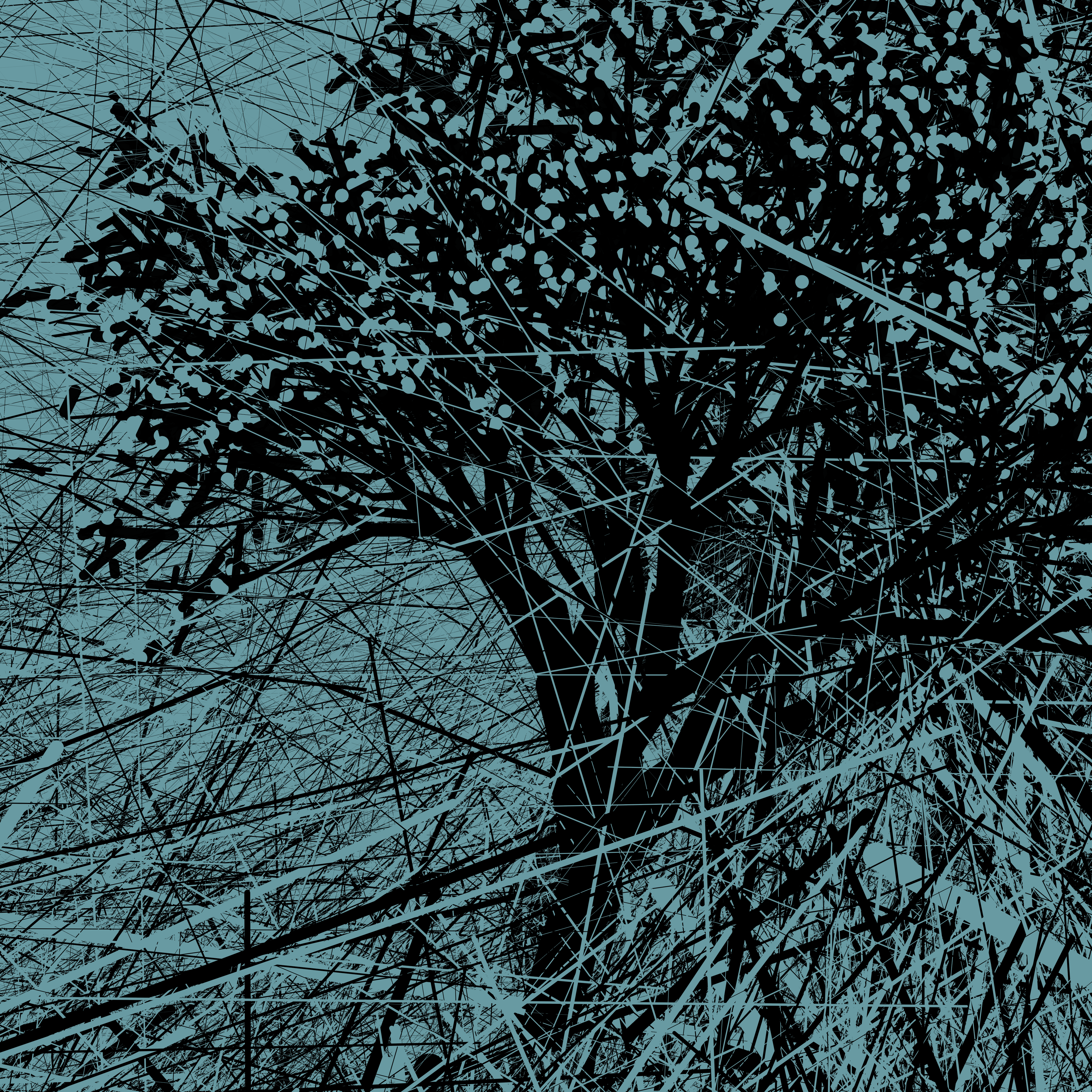 A Portrait of the Tree
