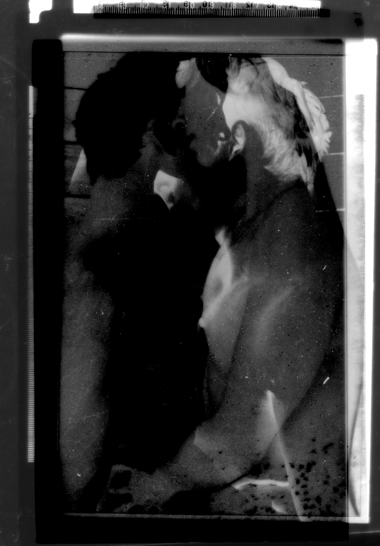 Lovers (Halftone Files #1)