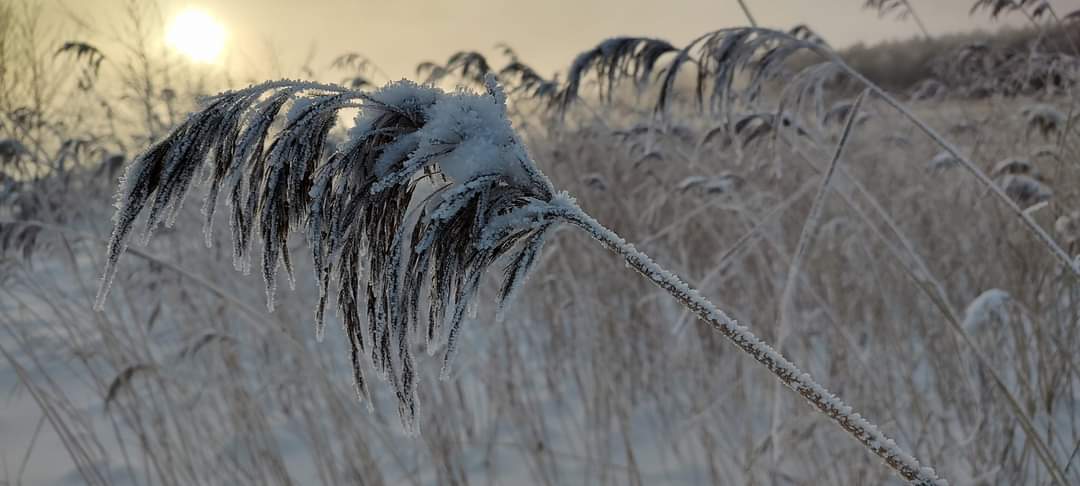 Frozen in time #17