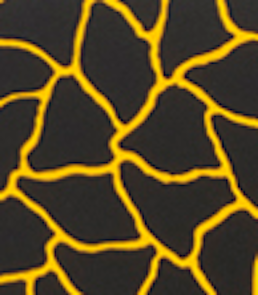 Pumpkin (2) by Yayoi Kusama #6706