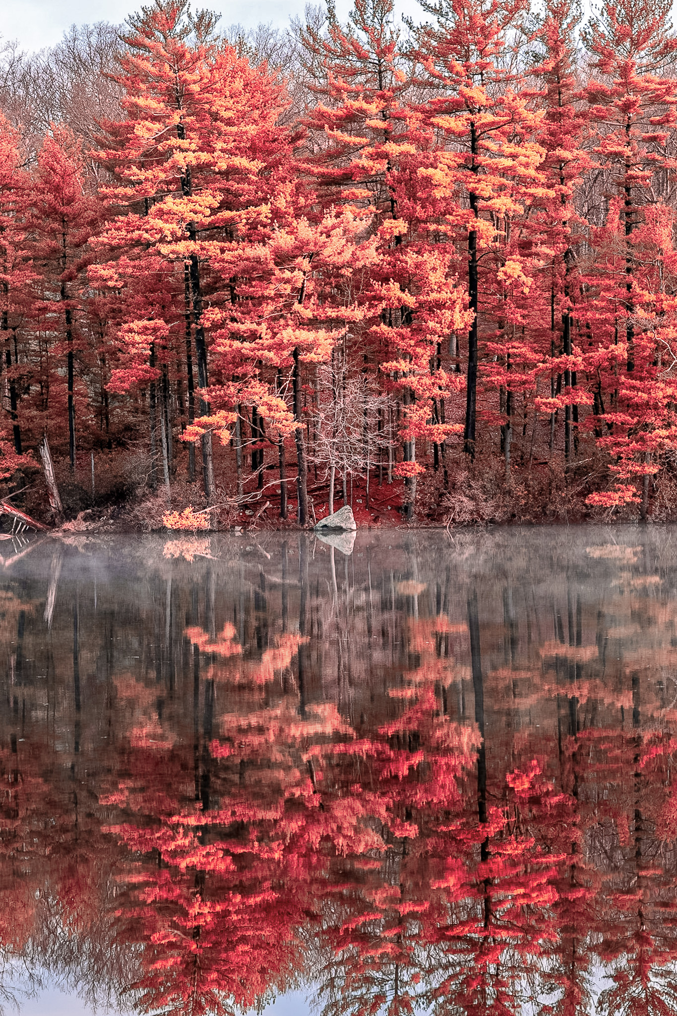 Reflective