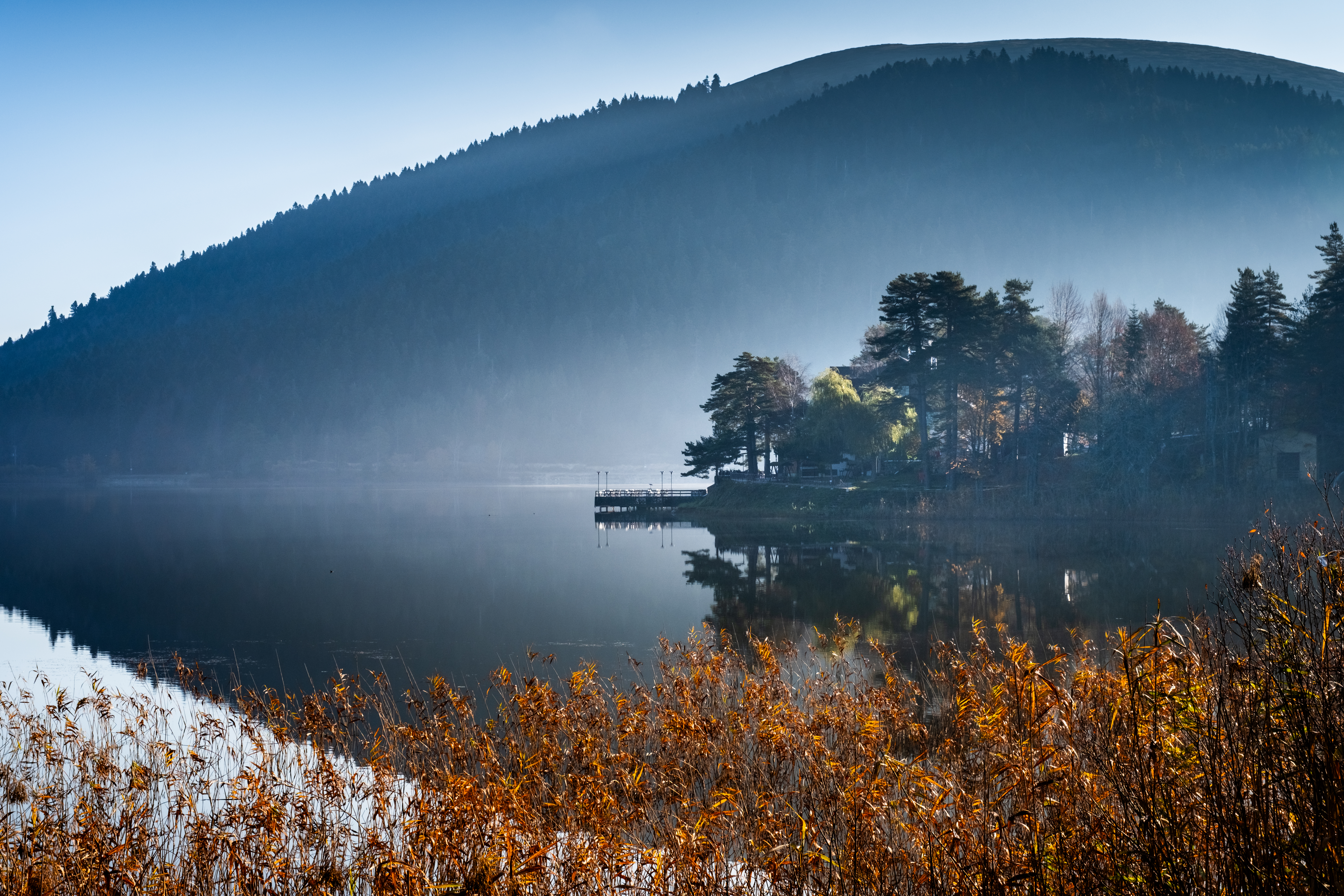 Reflection #38