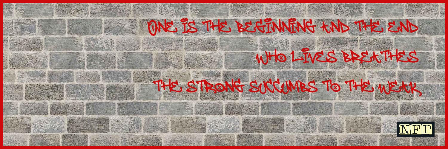 NotFungiblePoem #5722