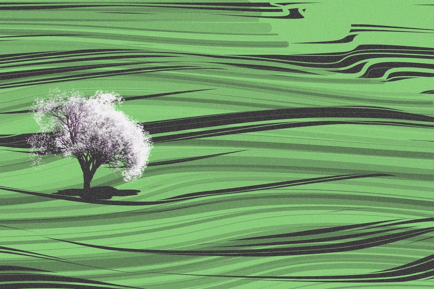 A tree in the distance