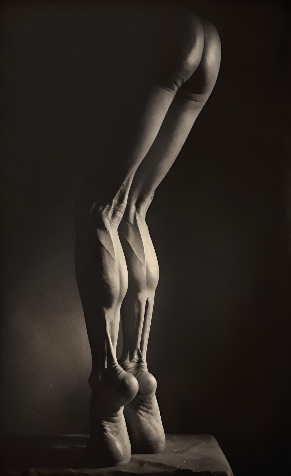 Legs Study #2