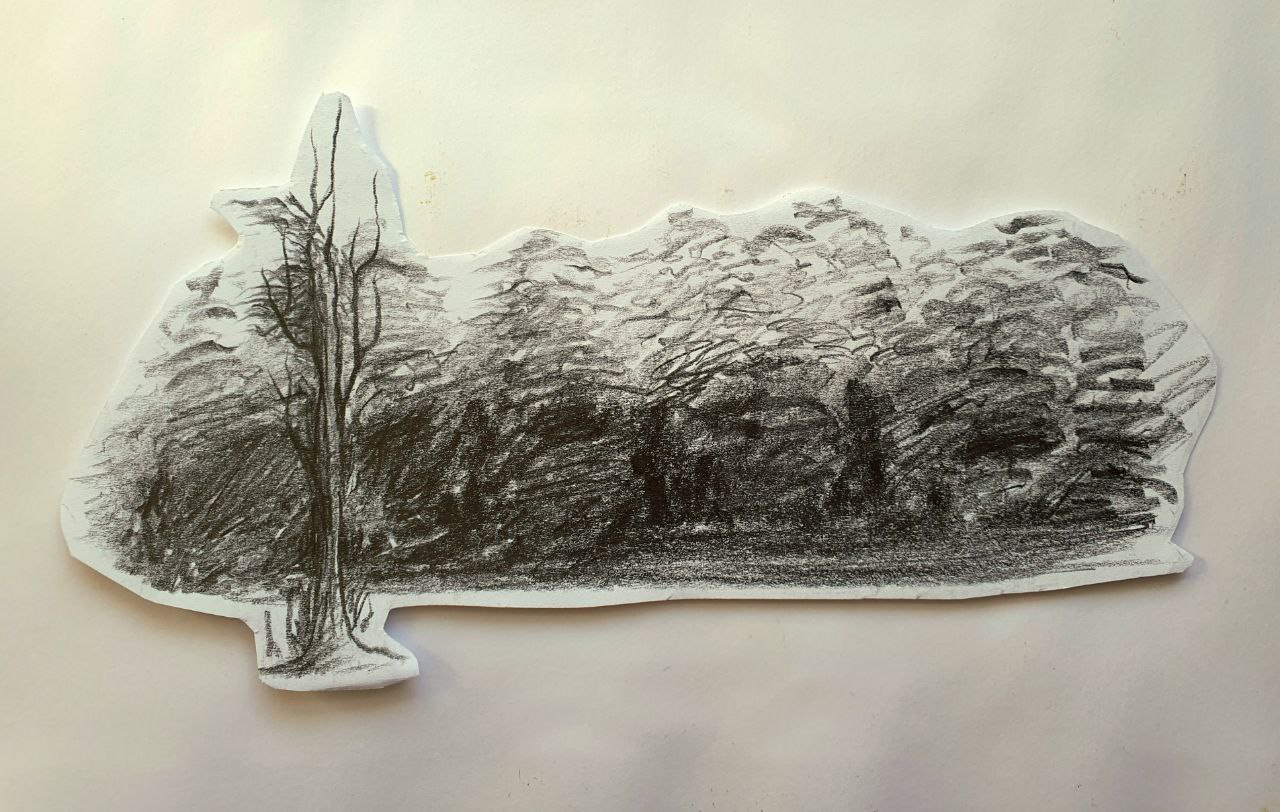 Trees. #13
