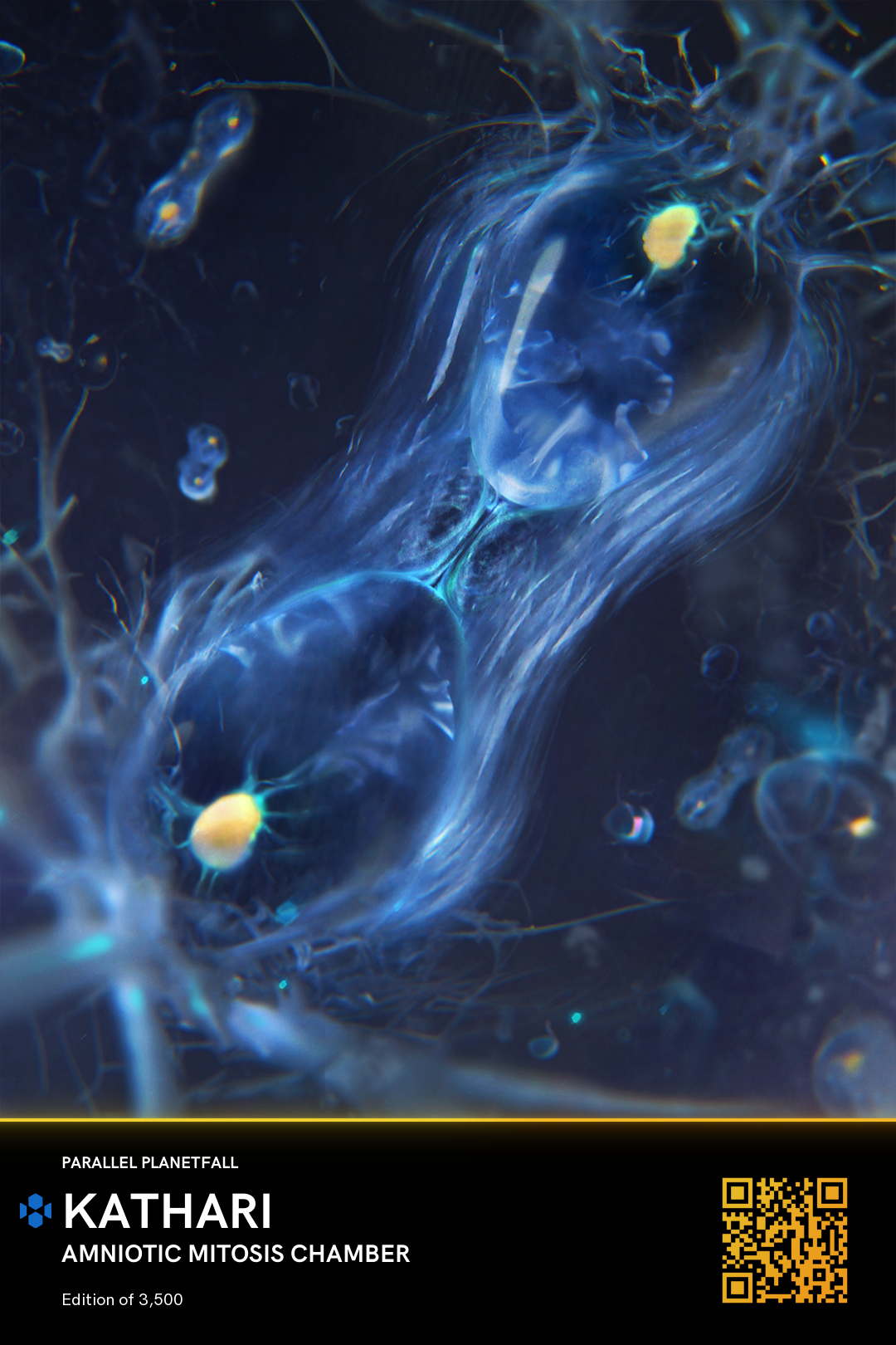 Amniotic Mitosis Chamber