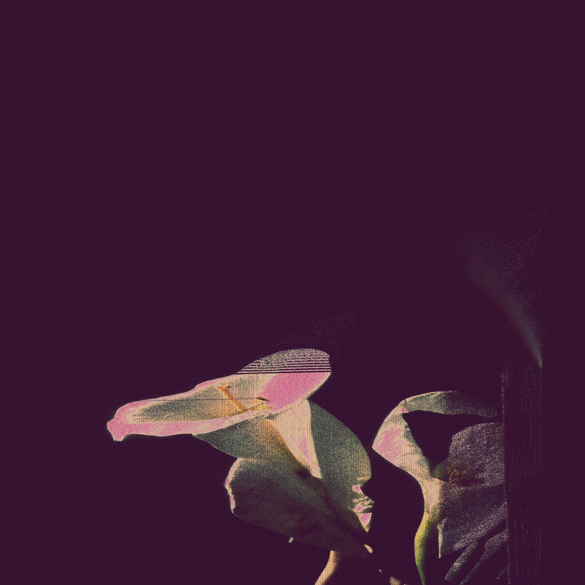 night after night