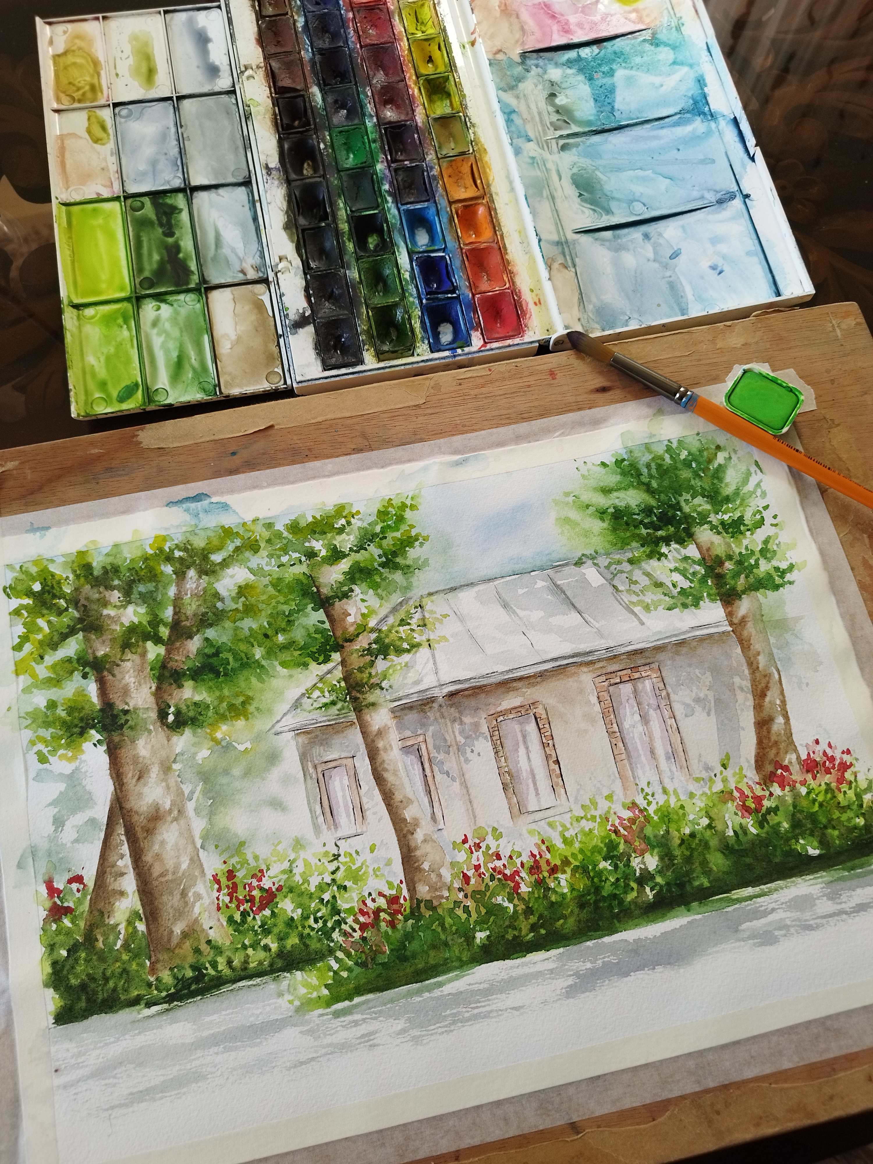 Garden #6