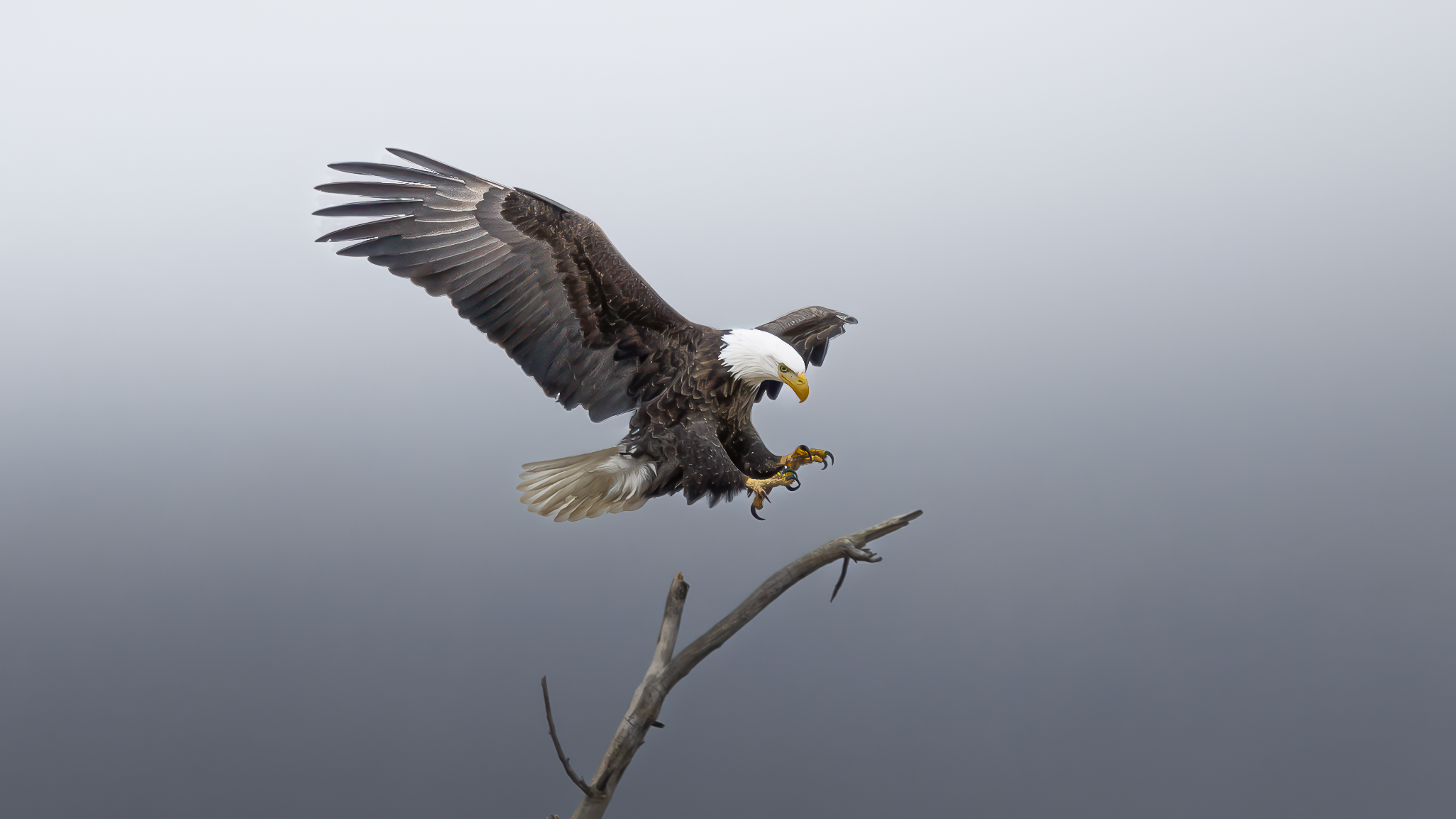 Landing