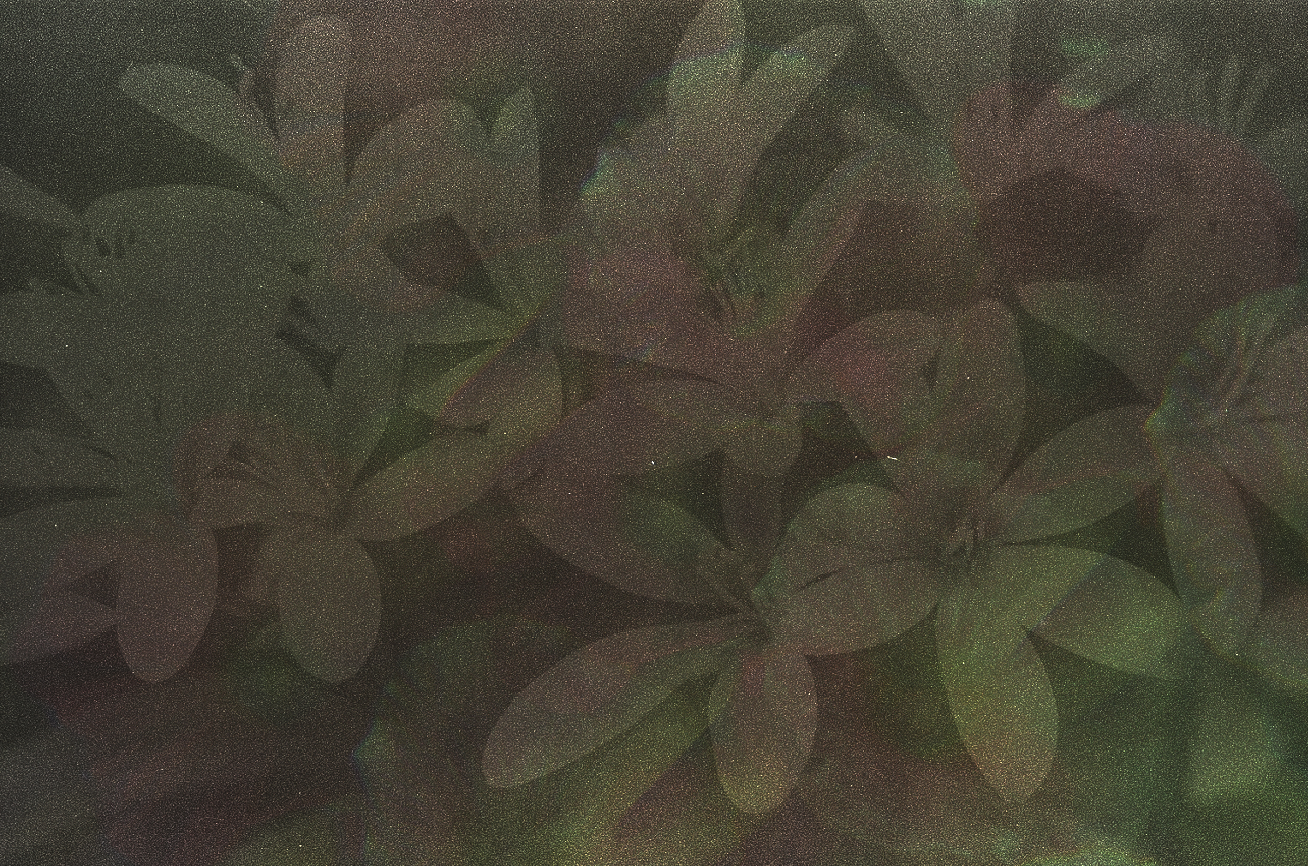 STILL IN THE PAINT I #21