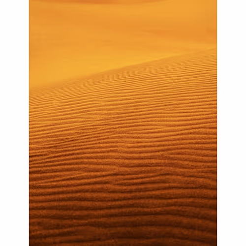 Forgotten Frames — 028