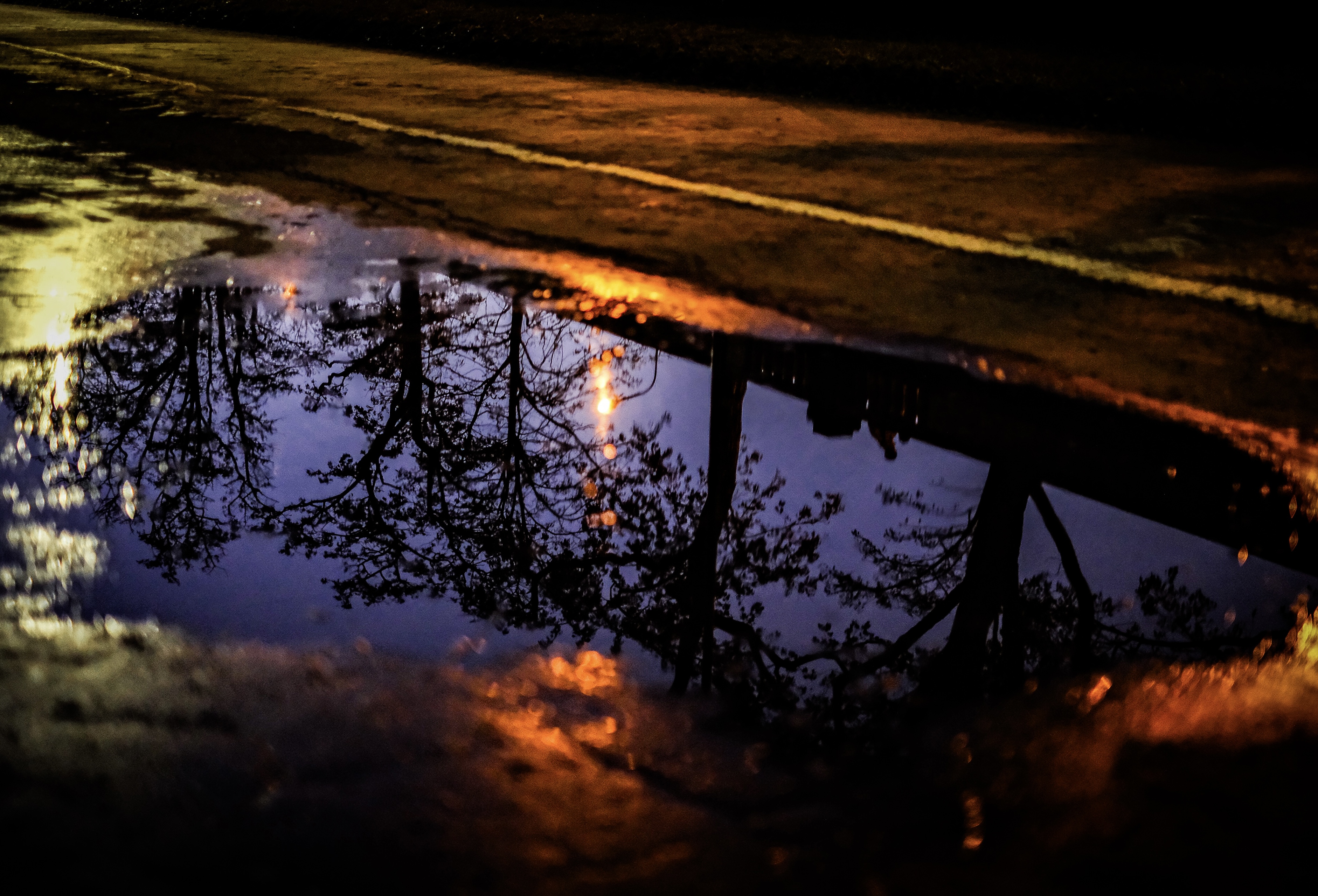 a world within a world 💜