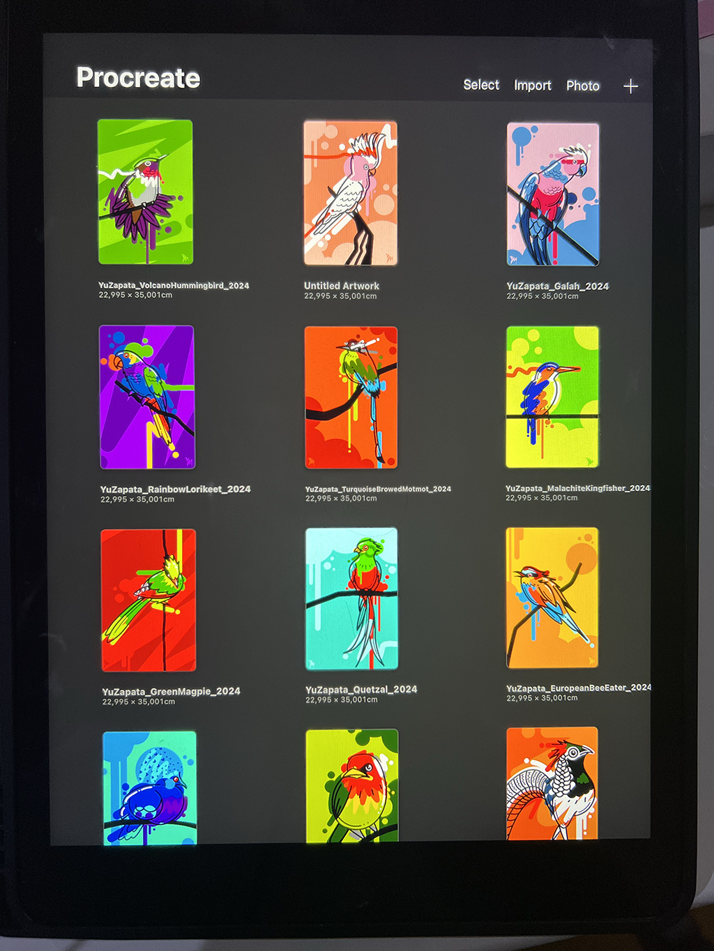 WIP UnOrdinary Palometas Collection #4