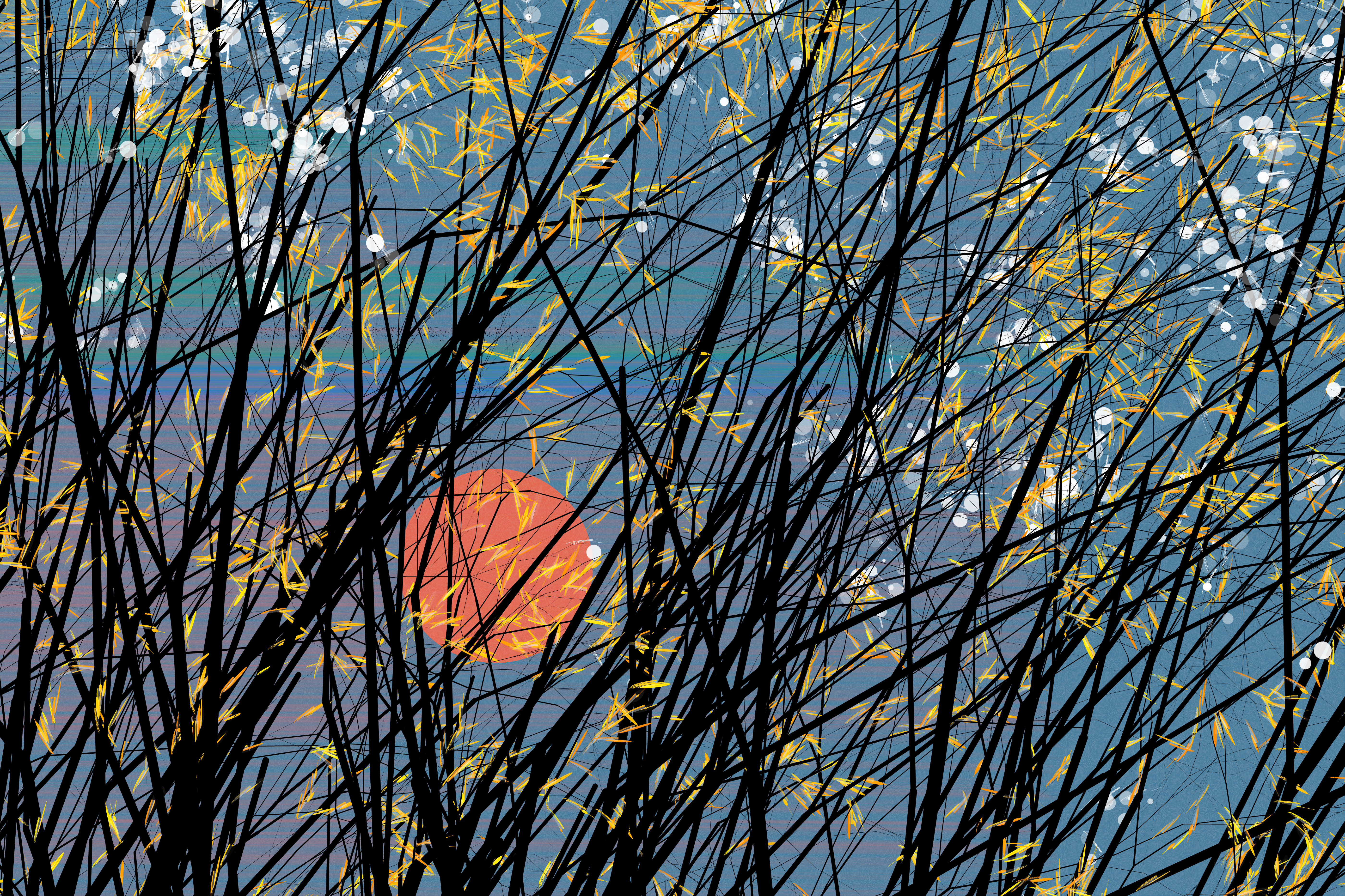 conversation with the wind #B2