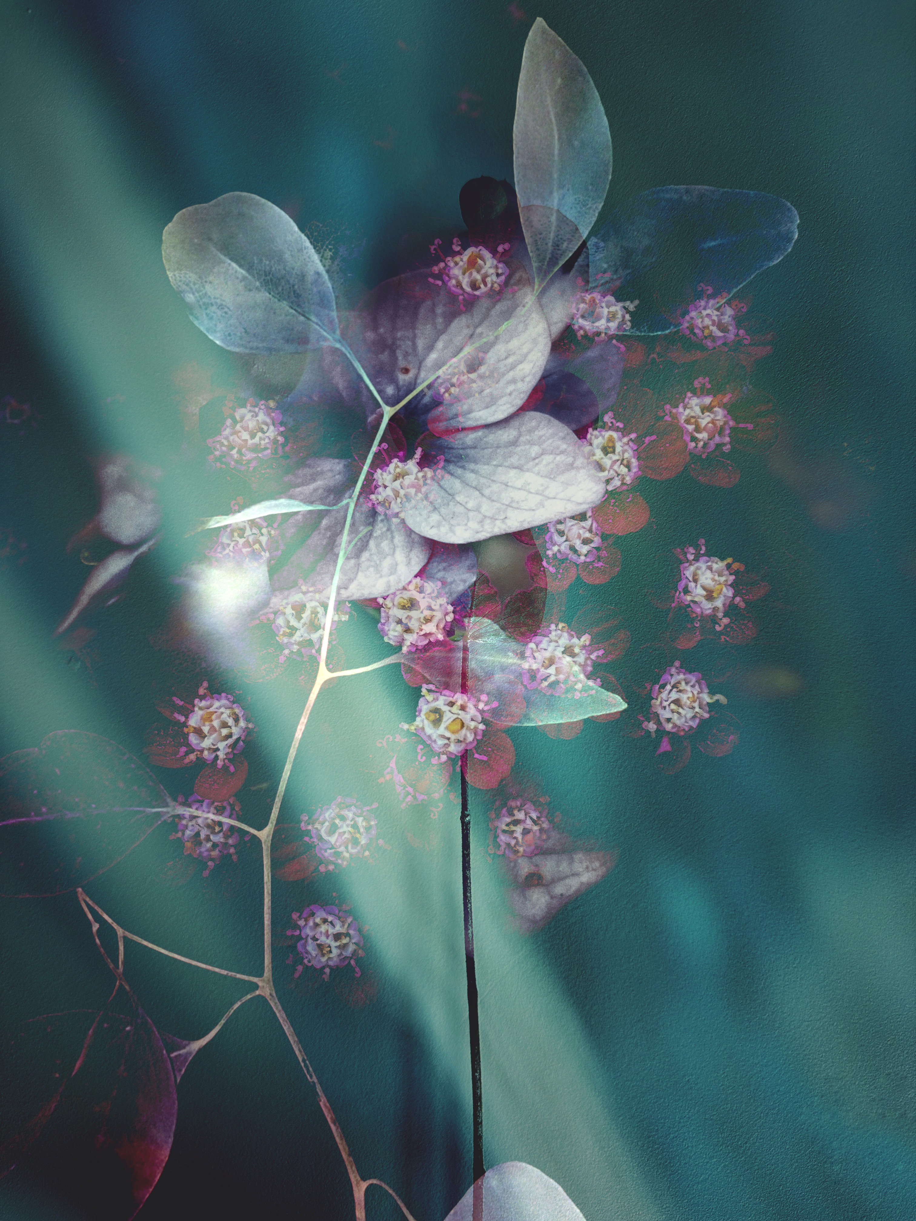 Dancing Dreamer #16