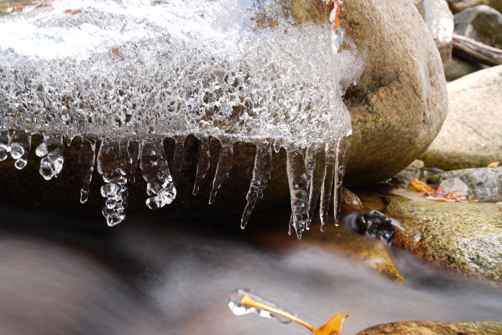 ice ice baby