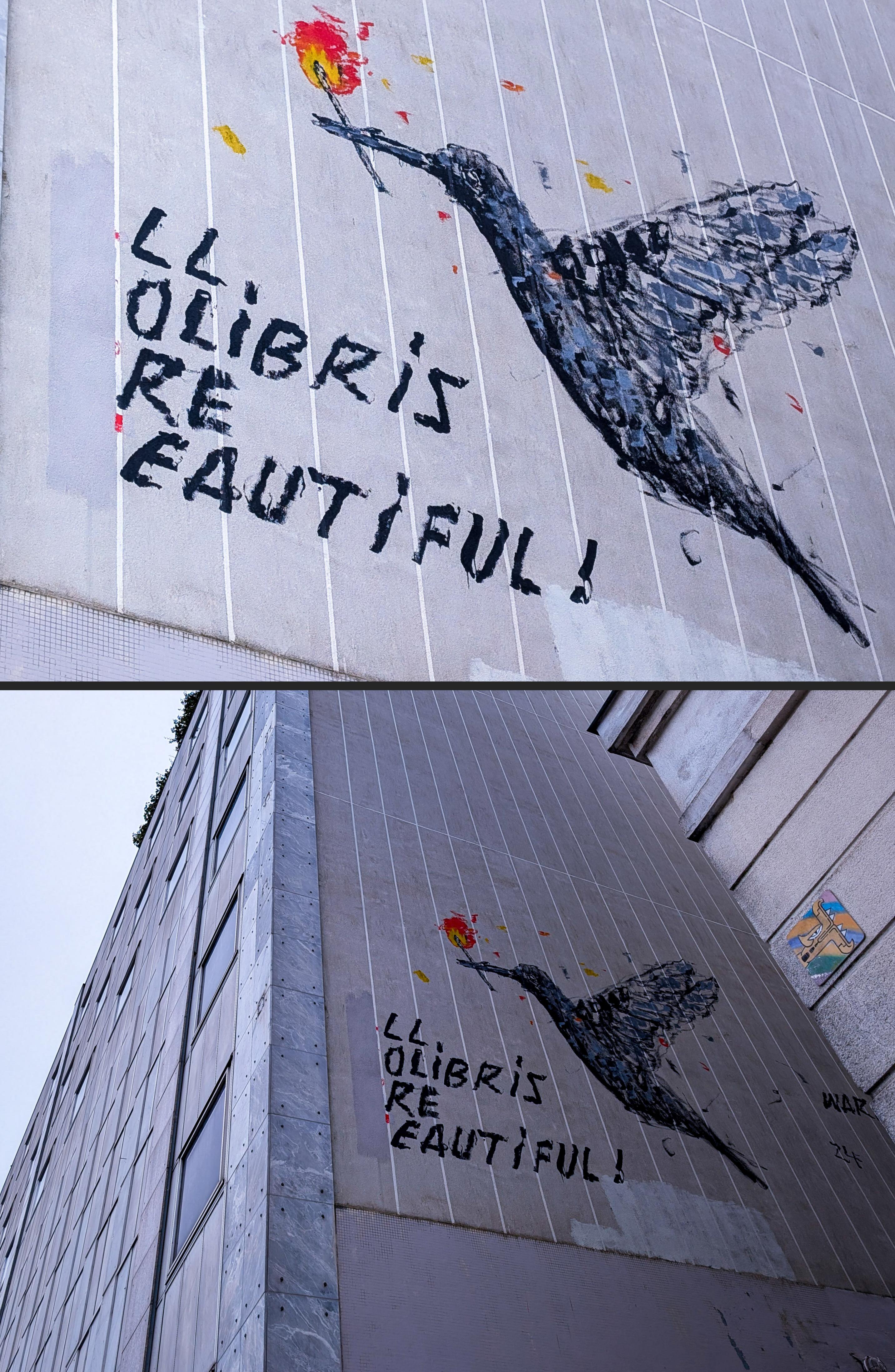 LL OLIBRIS RE EAUTIFUL #497