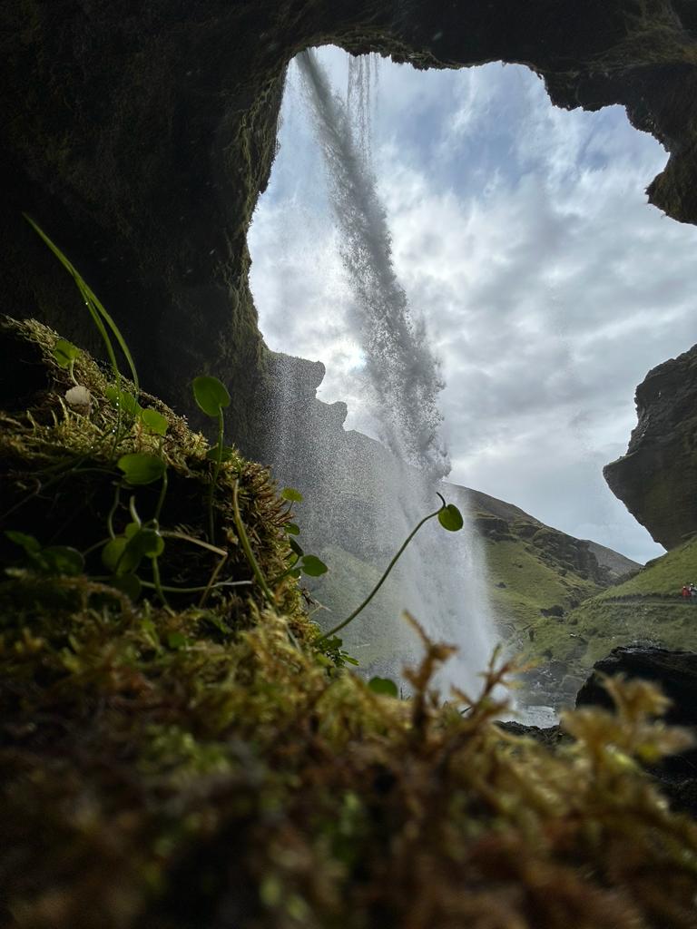 Hidden Realm