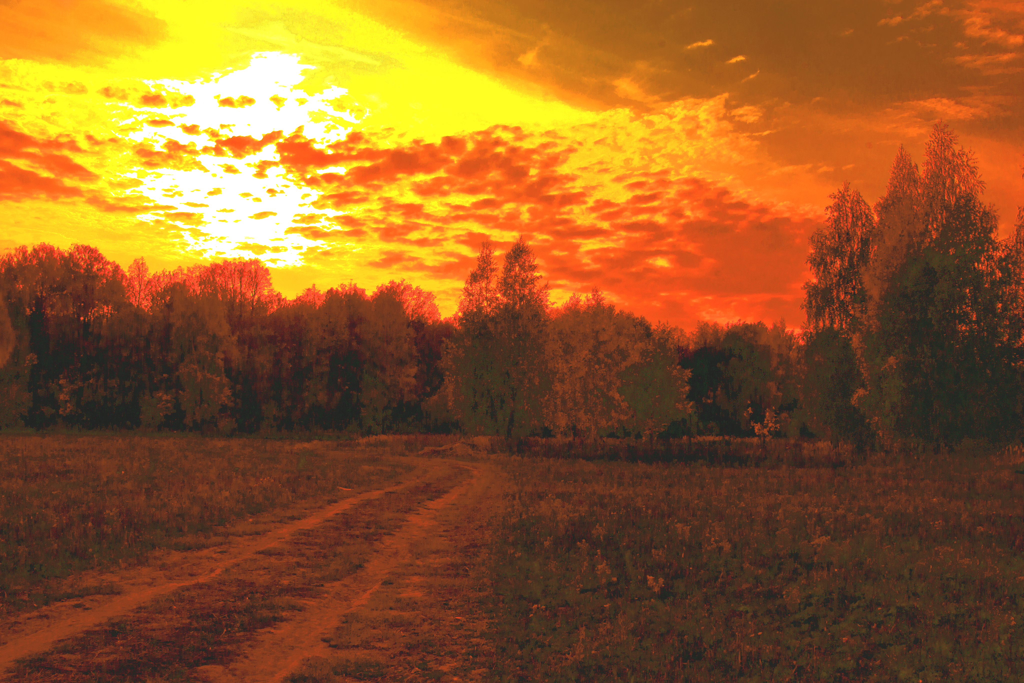 PICTURESQUE SCENERY 9289