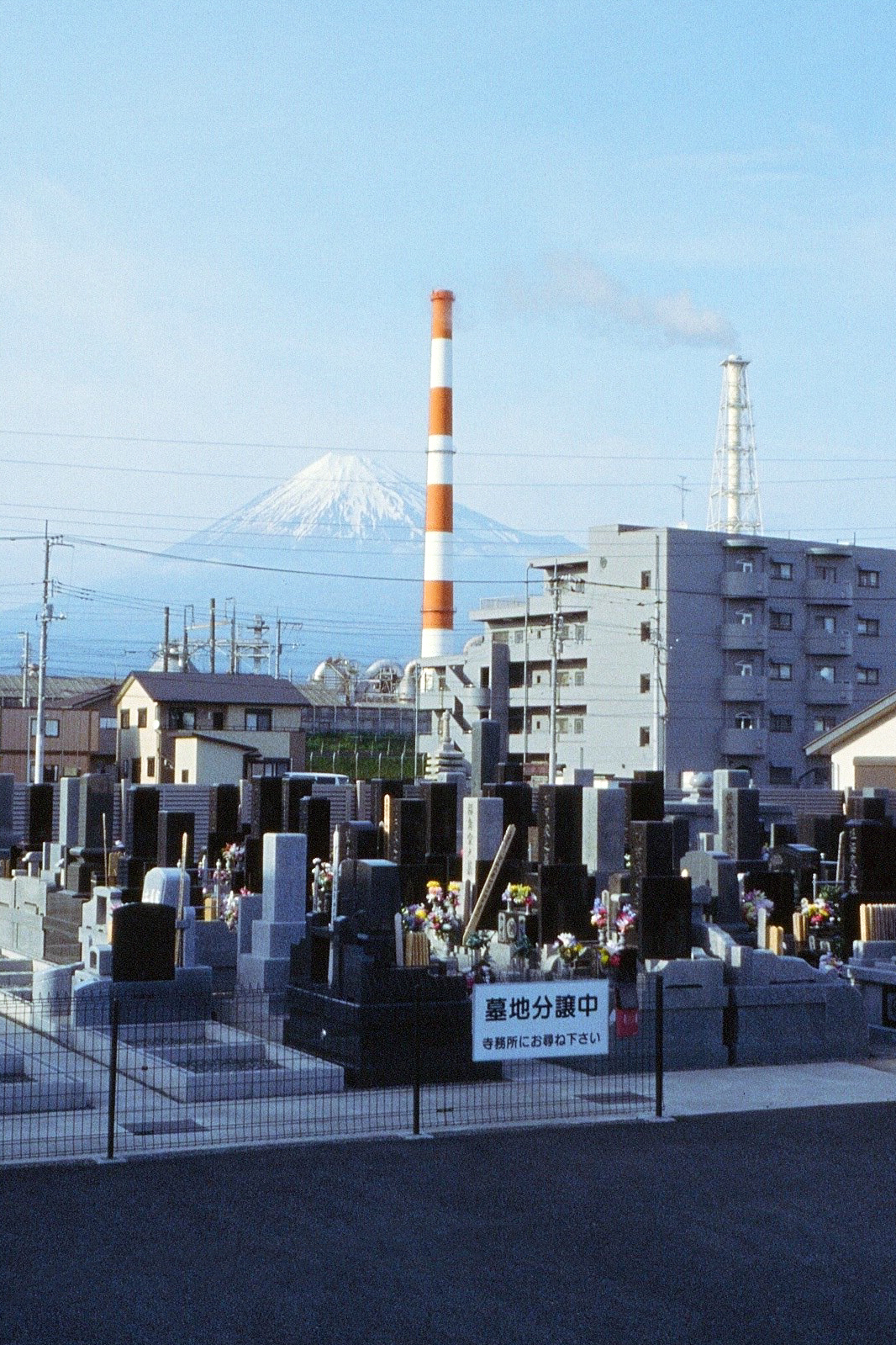 生きる