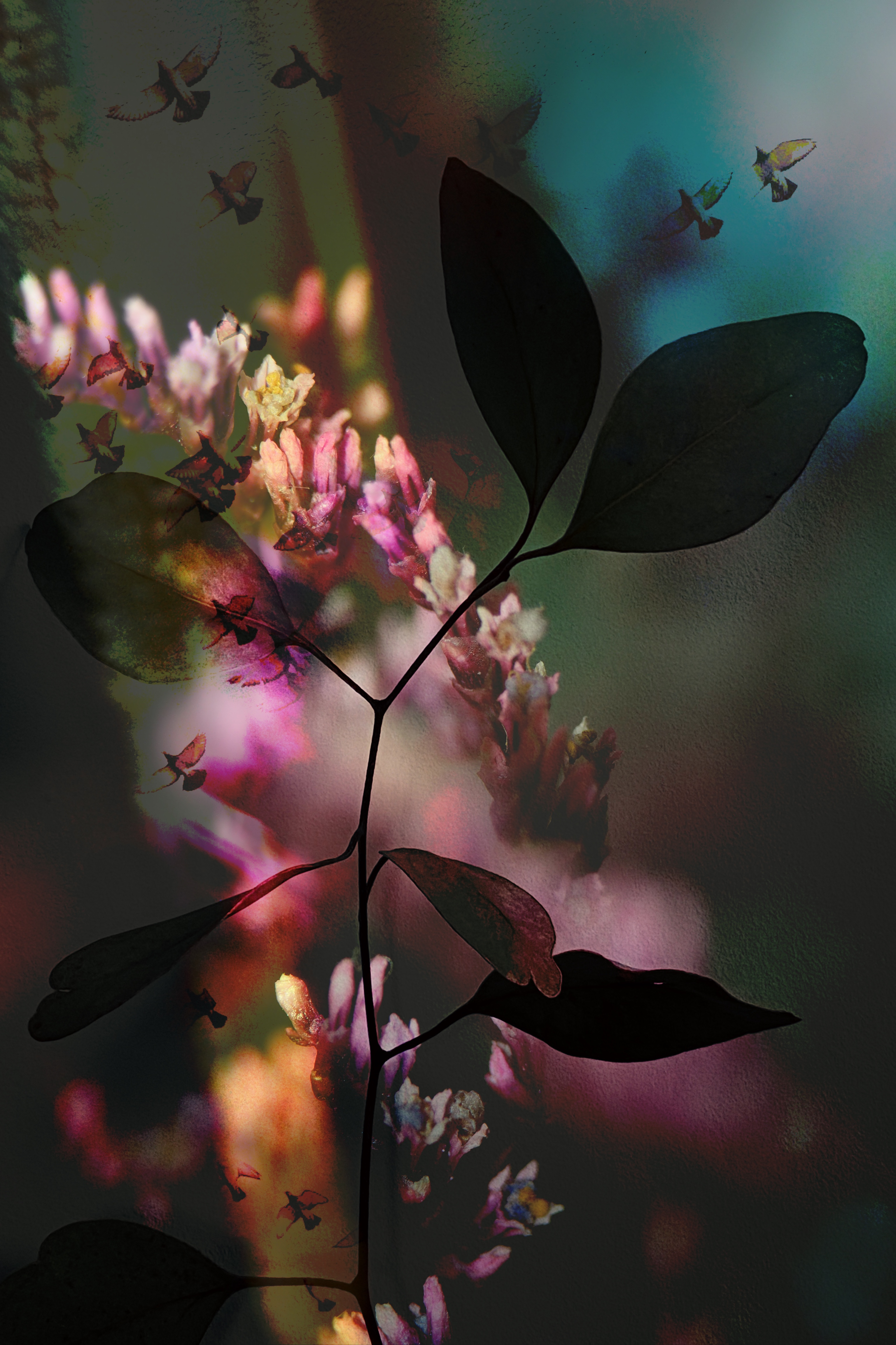 Harmony of Chaotic Dreams #25