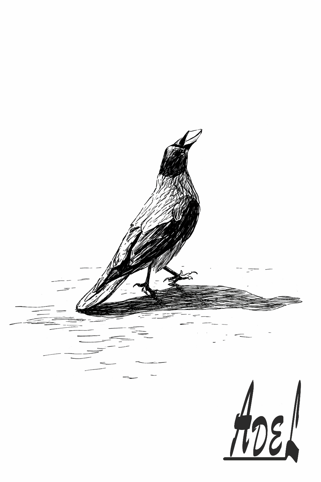 Wings of Stillness-Line-Based Interpretive