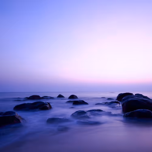 Summer Serenity