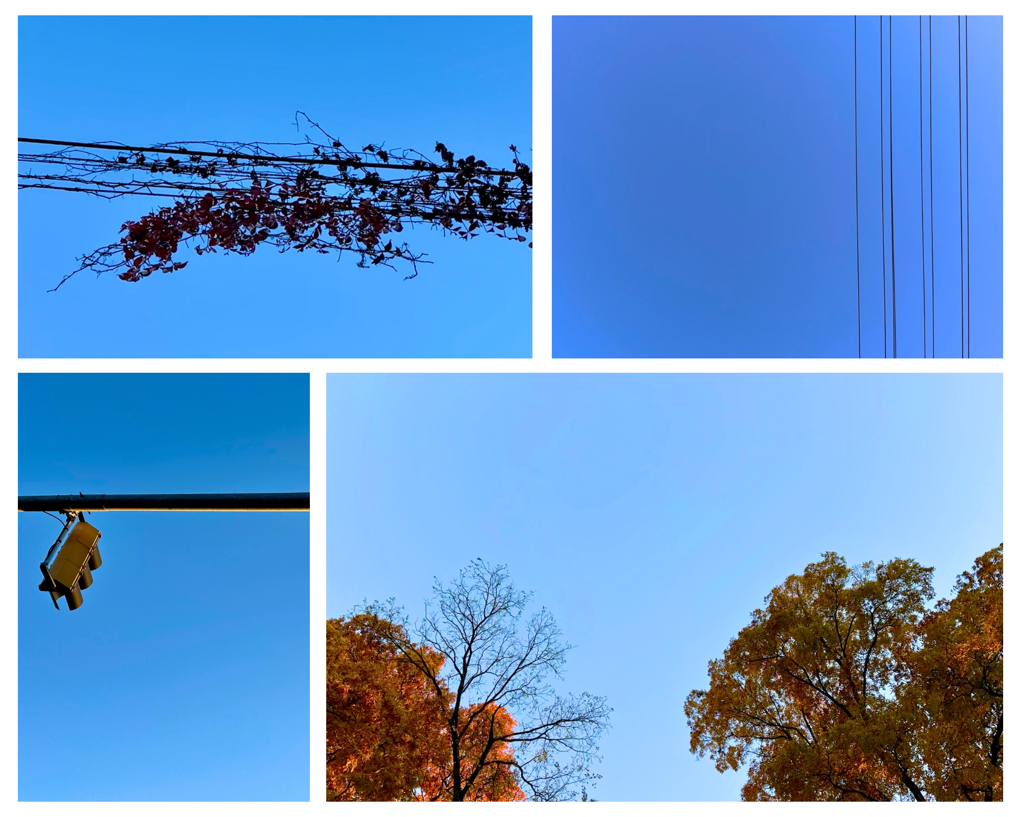 Shades of Autumn Blue